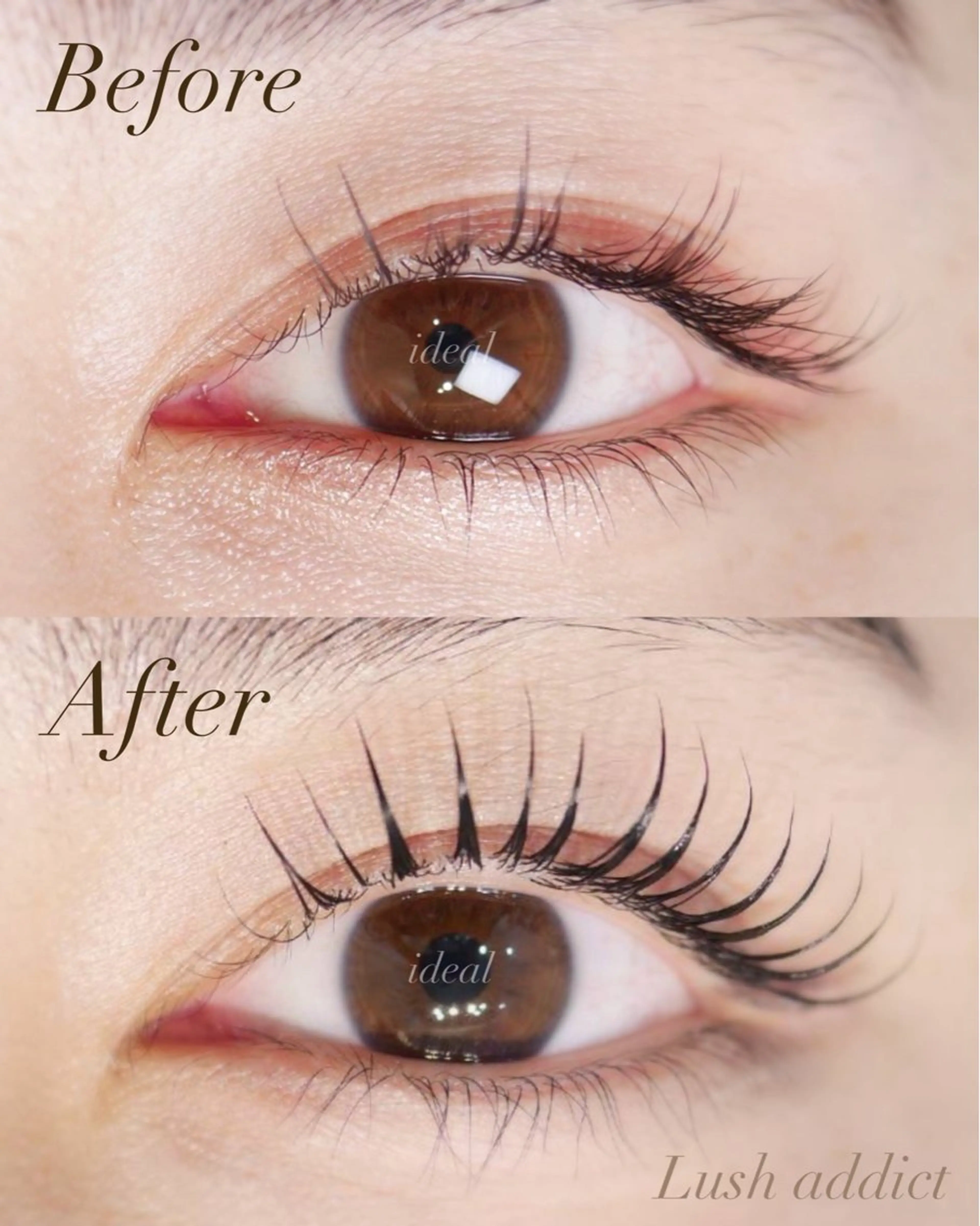 マツエク・マツパ ideal所属・ideal 大宮 宮本のマツエク・マツパデザイン