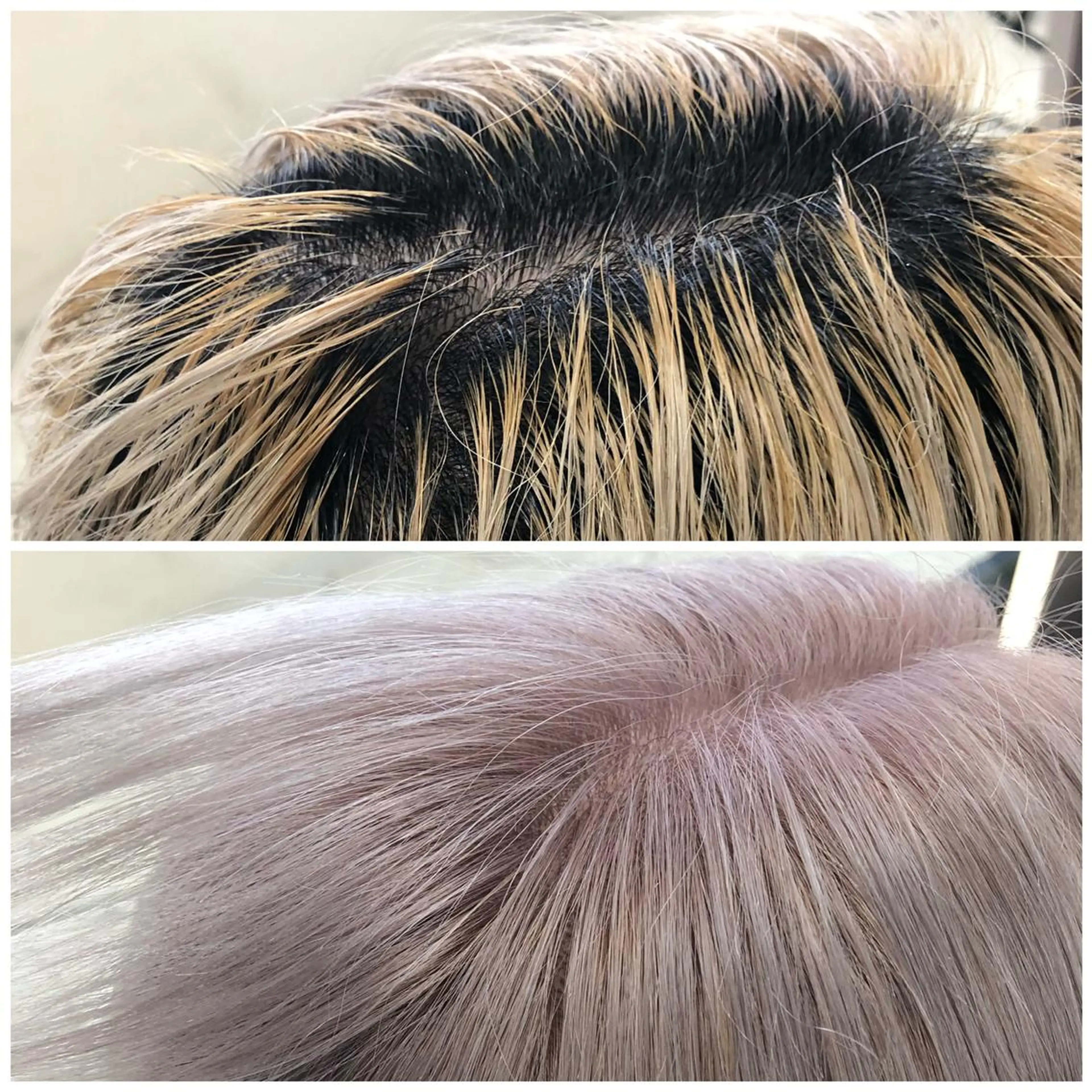 ショート カラー ヘアカラー トリートメント MAKO ❤️🔥NEXTのヘアスタイル