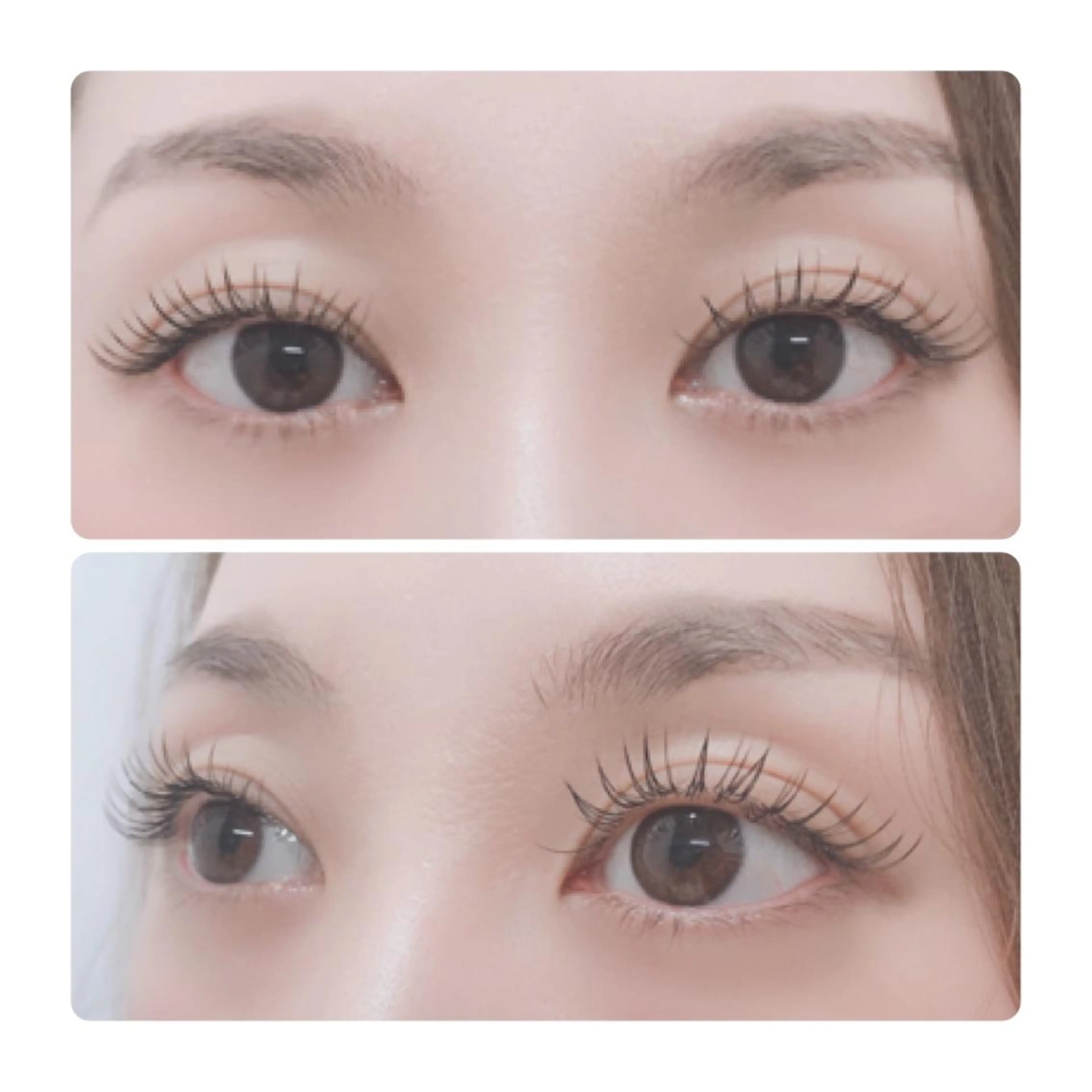 マツエク・マツパ Cカール フラットラッシュ マツエク ELLA 菊地のマツエク・マツパデザイン