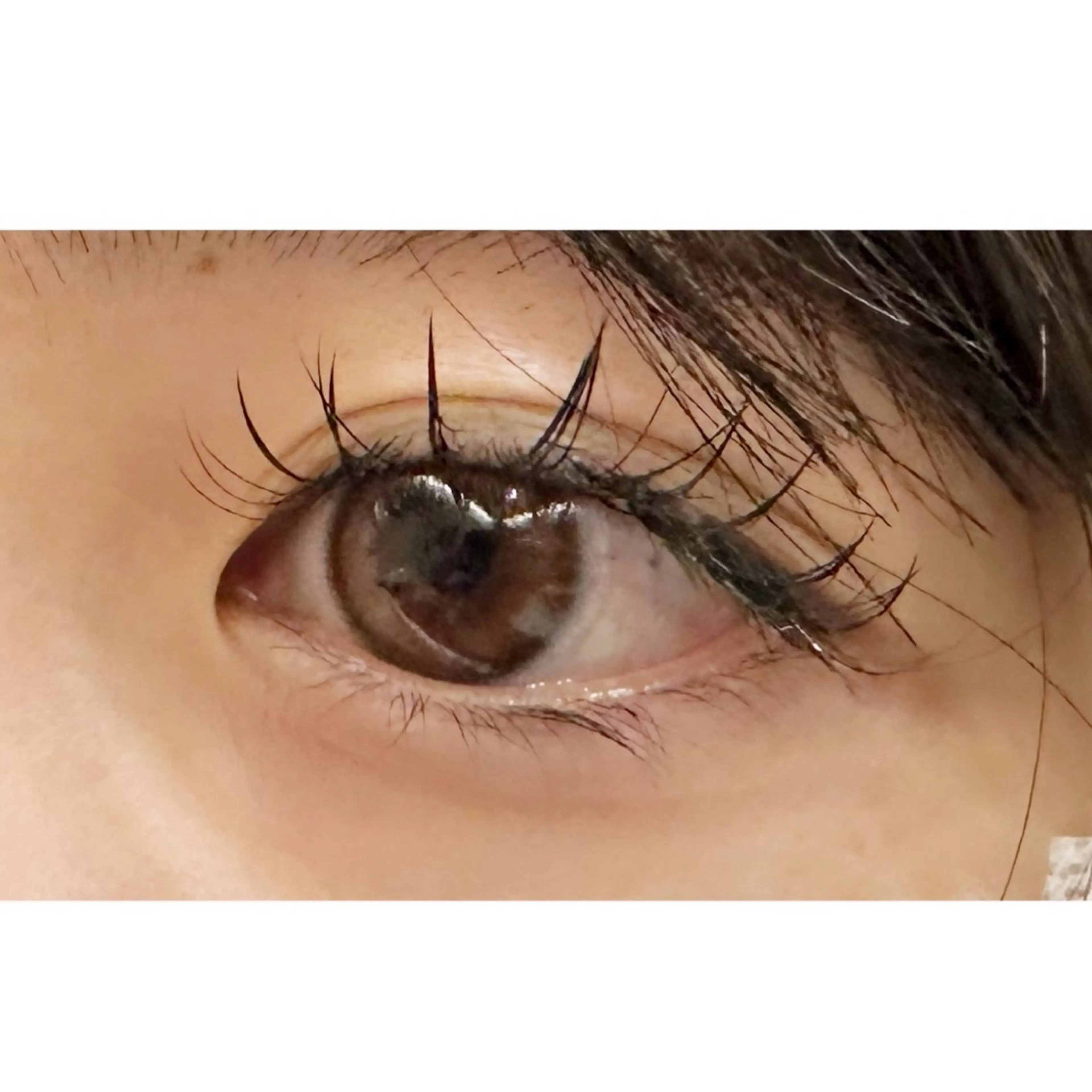 マツエク・マツパ 束感まつ毛 DollyLash 西河のマツエク・マツパデザイン