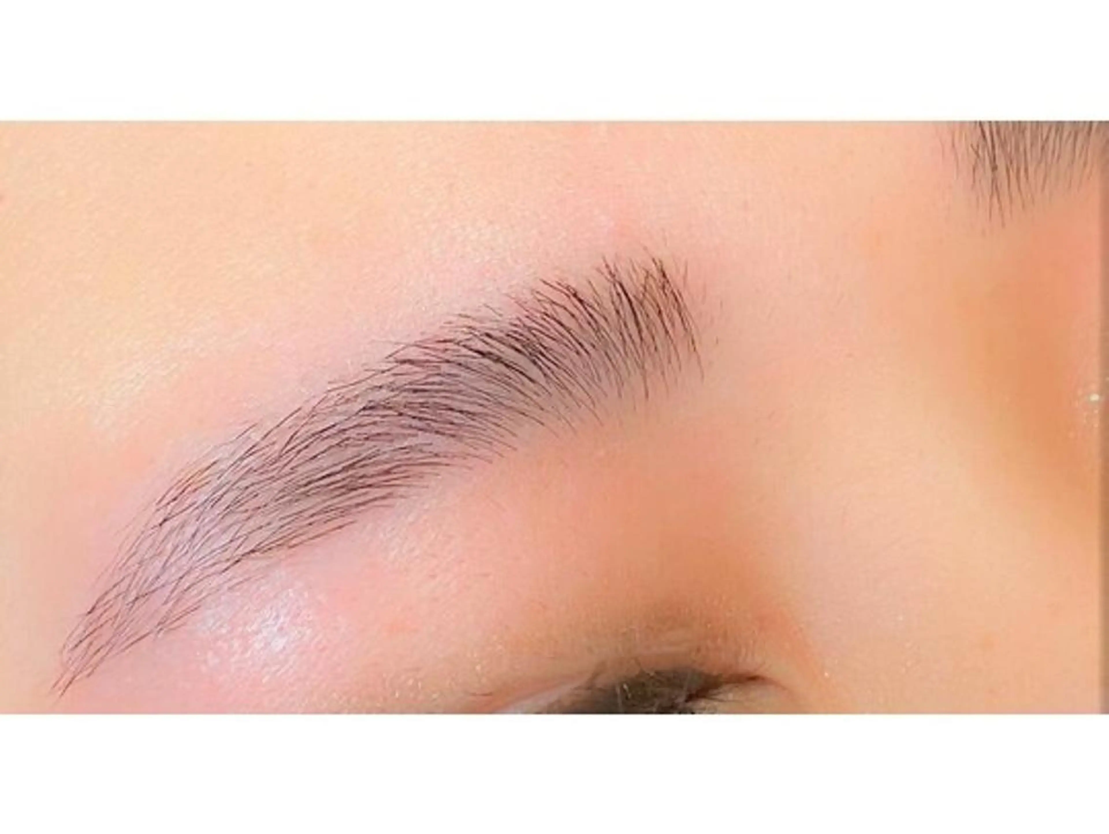 アイブロウ Albicocco所属・Albicocco 《アルビコッコ》のマツエク・マツパデザイン