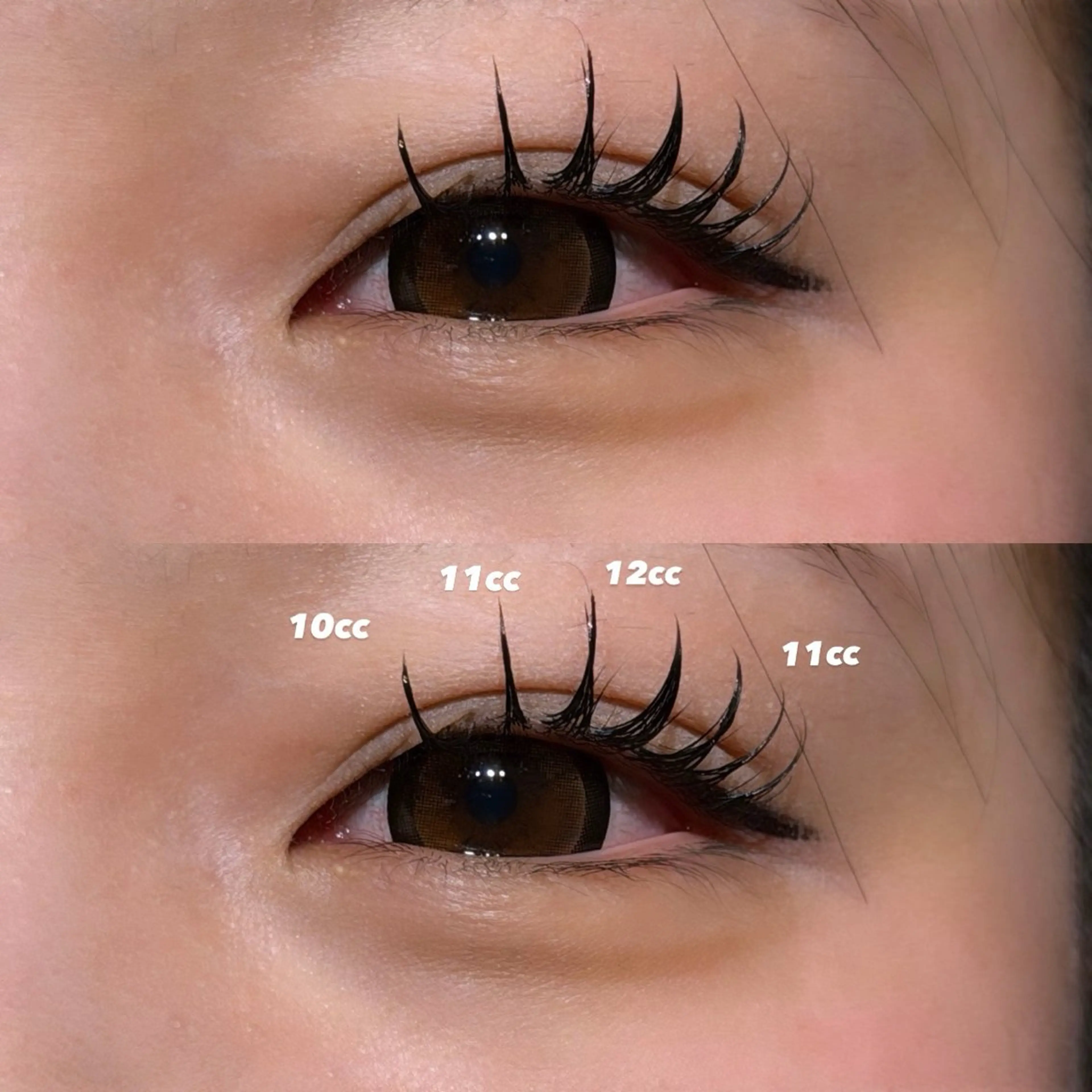 アップワード🎀毛質フラットラッシュ120本🫧の写真