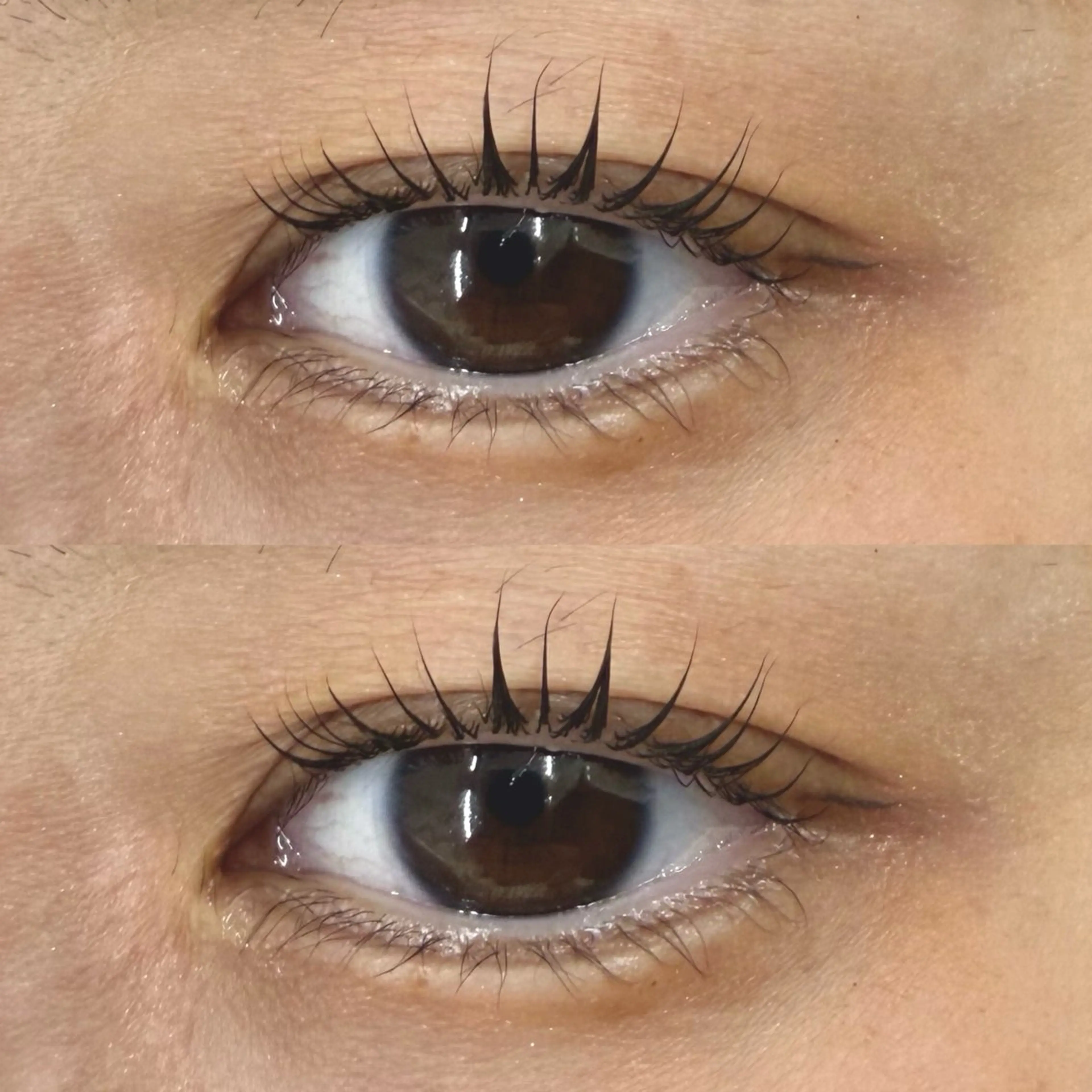 マツエク・マツパ サクラブロウ 第2ビル店　小松の眉毛・アイブロウイメージ