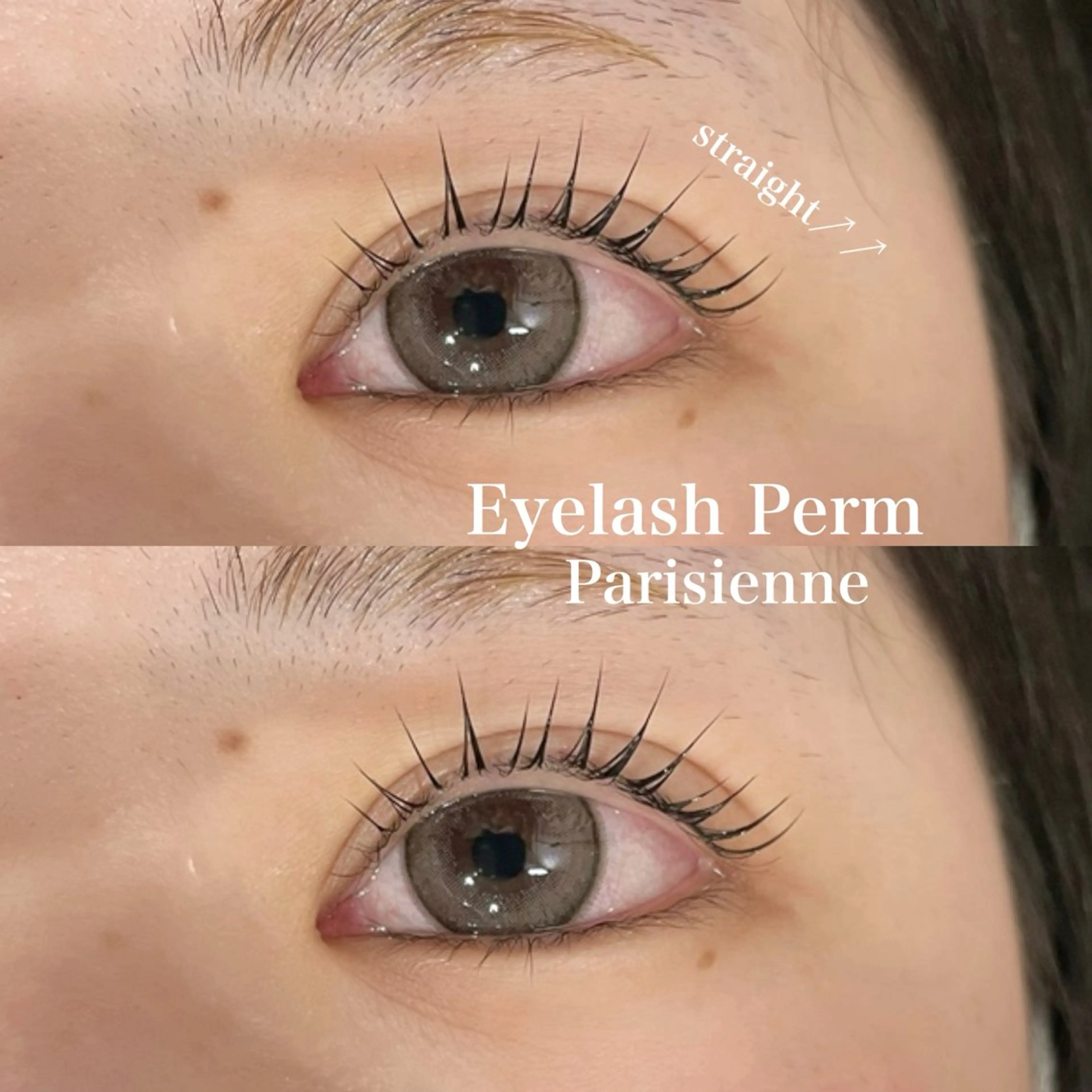 🟡2/17 12:30-限定🟡 まつげパーマ ▶︎ ꒰꒰ パリジェンヌ ꒱꒱の写真