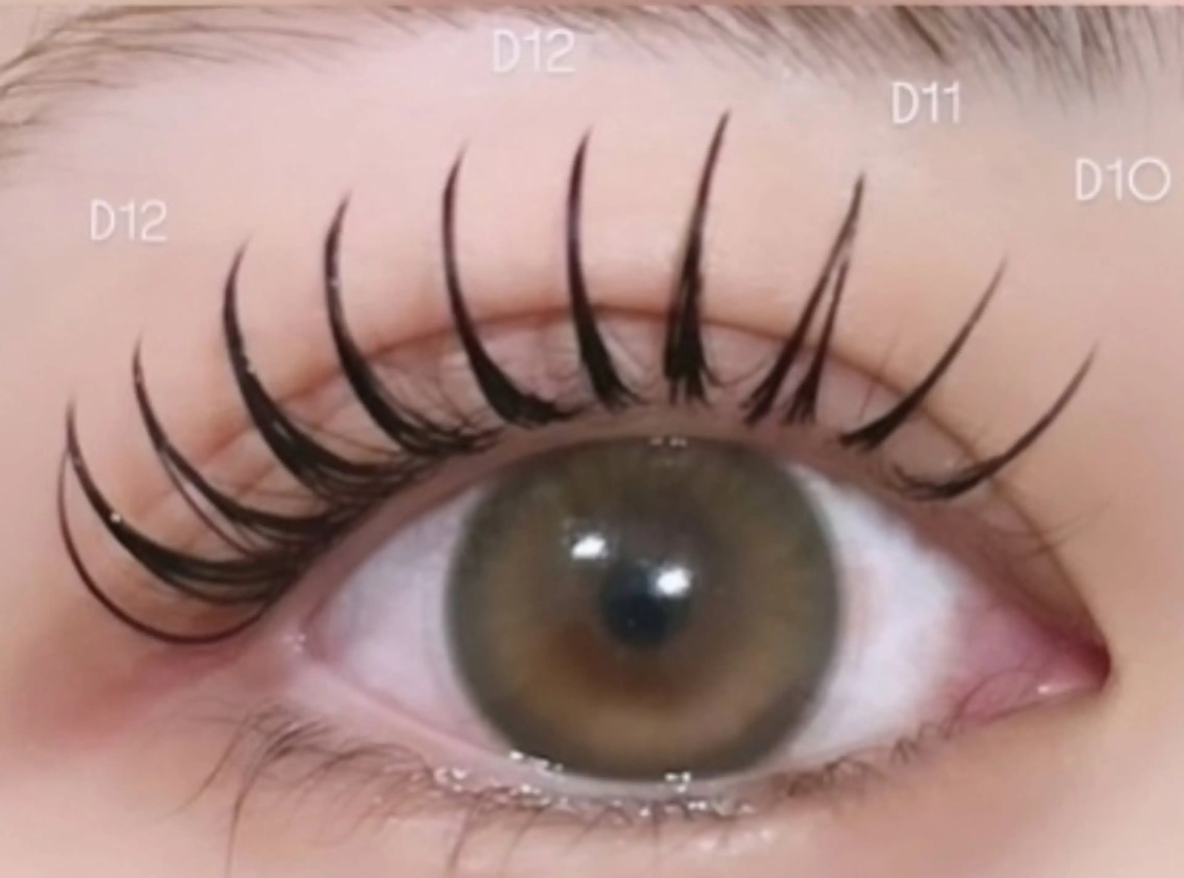 マツエク・マツパ SUN WENのマツエク・マツパデザイン