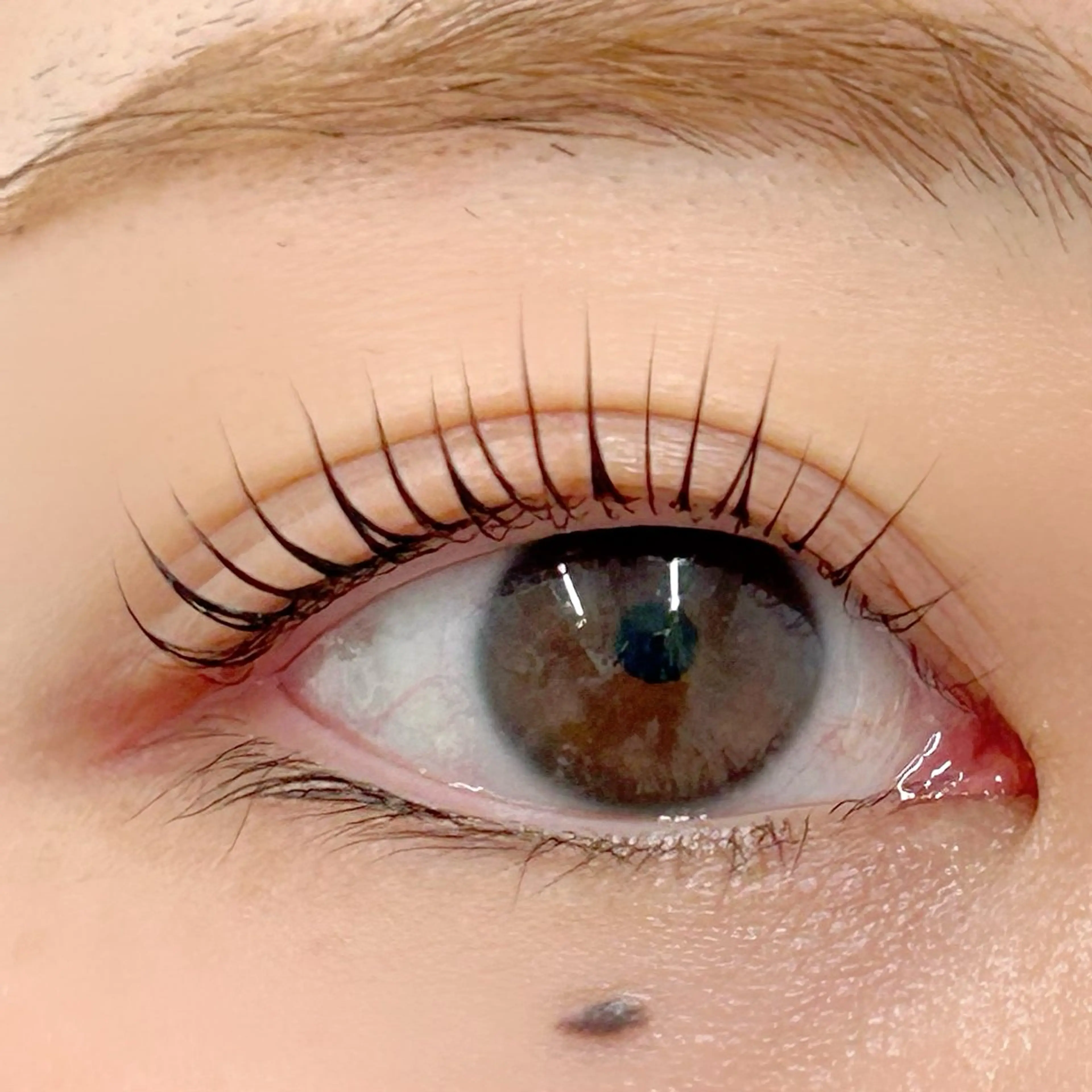 マツエク・マツパ パリジェンヌラッシュリフト 一重×まつ毛パーマ BellFlower Aki（眉・まつげ）のマツエク・マツパデザイン