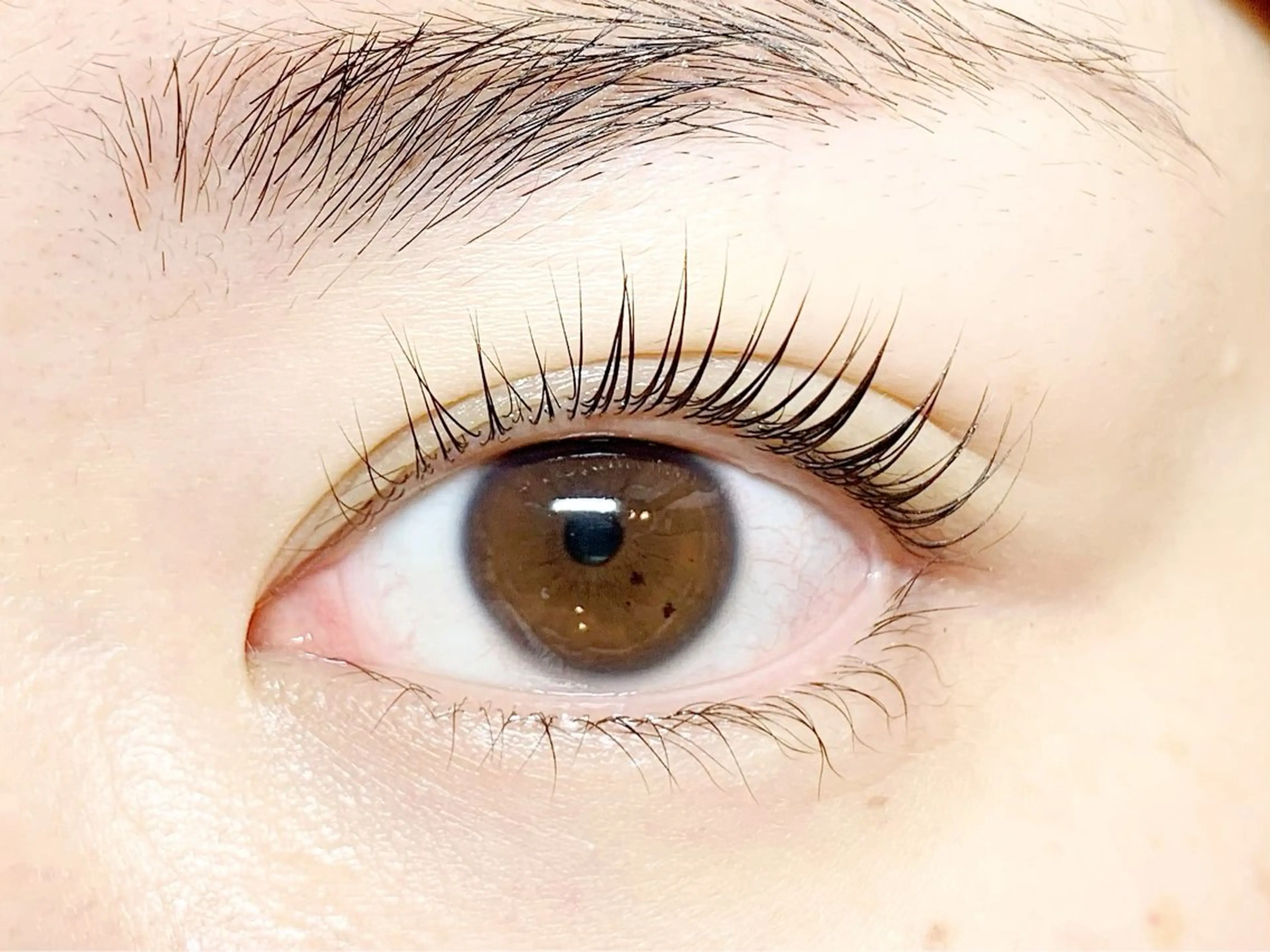 口コミでお得♡フラットマットラッシュ120本¥4600/ご新規様オフ込🌼コーティングTR付/顧客様オフ別途料金の写真