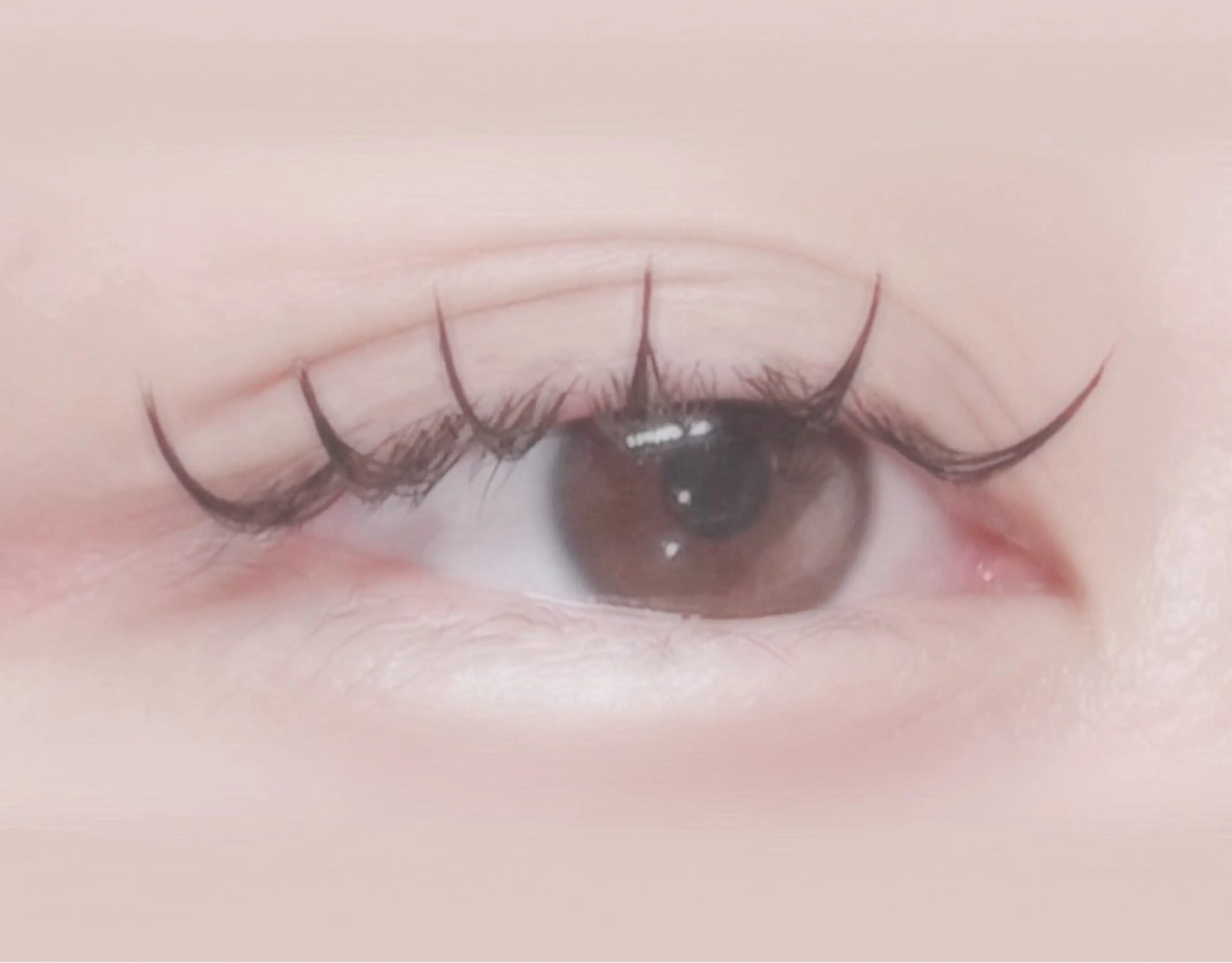 マツエク・マツパ Cカール ナチュラル 仲尾 奏音のマツエク・マツパデザイン