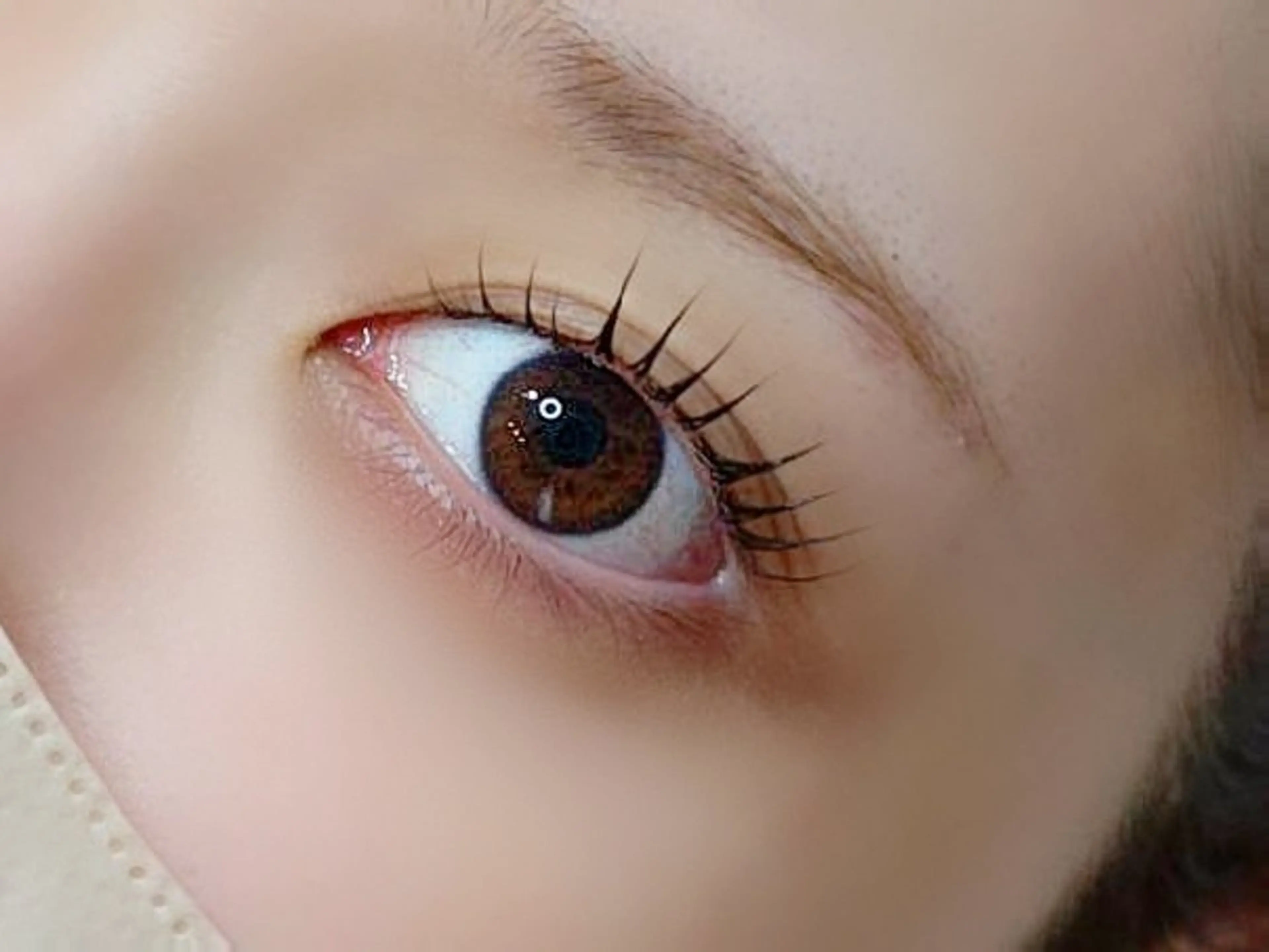 マツエク・マツパ Luce da spashの眉毛・アイブロウイメージ