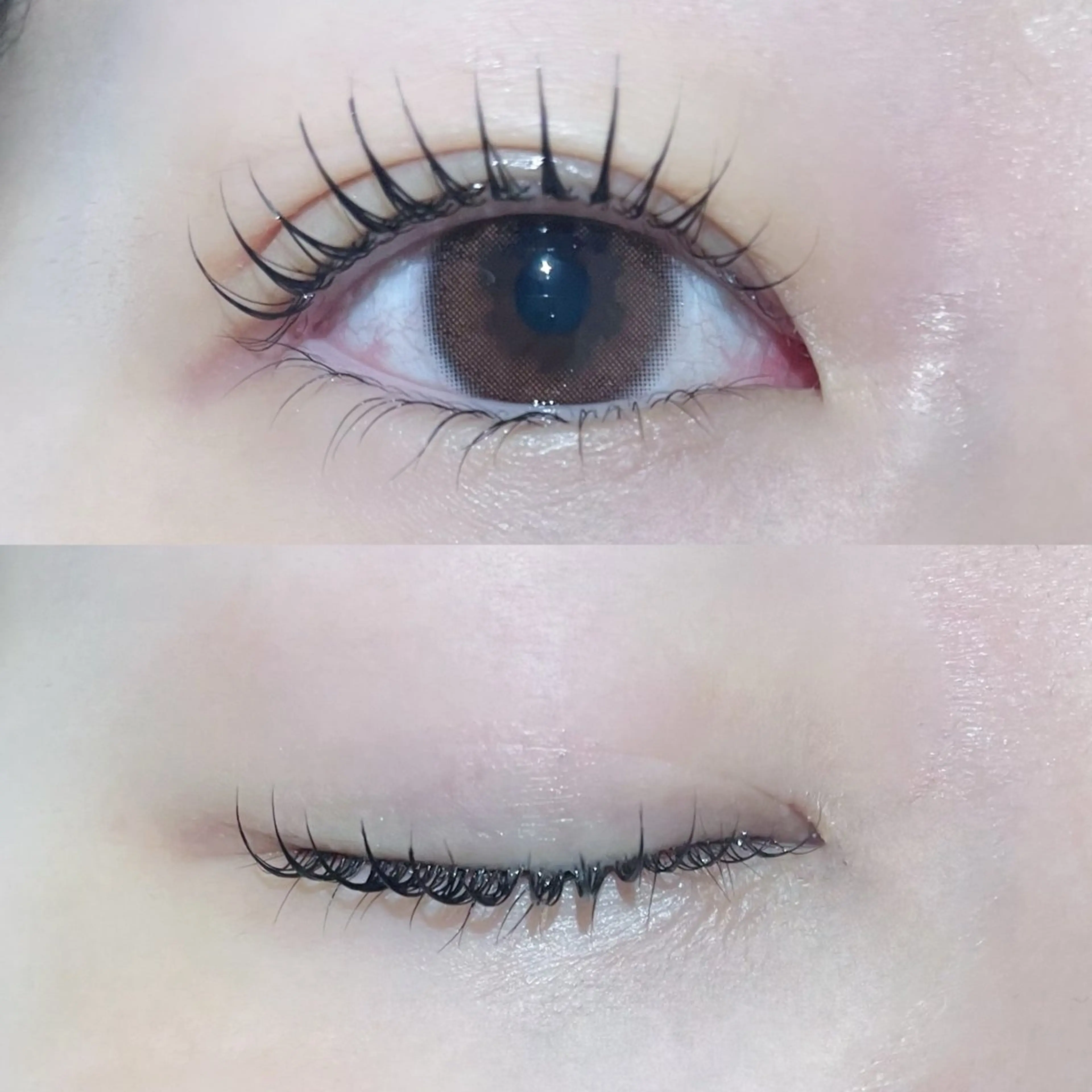 《人気No,1》次世代マツパ🤍『パリジェンヌラッシュリフト』※美容液ケア付の写真