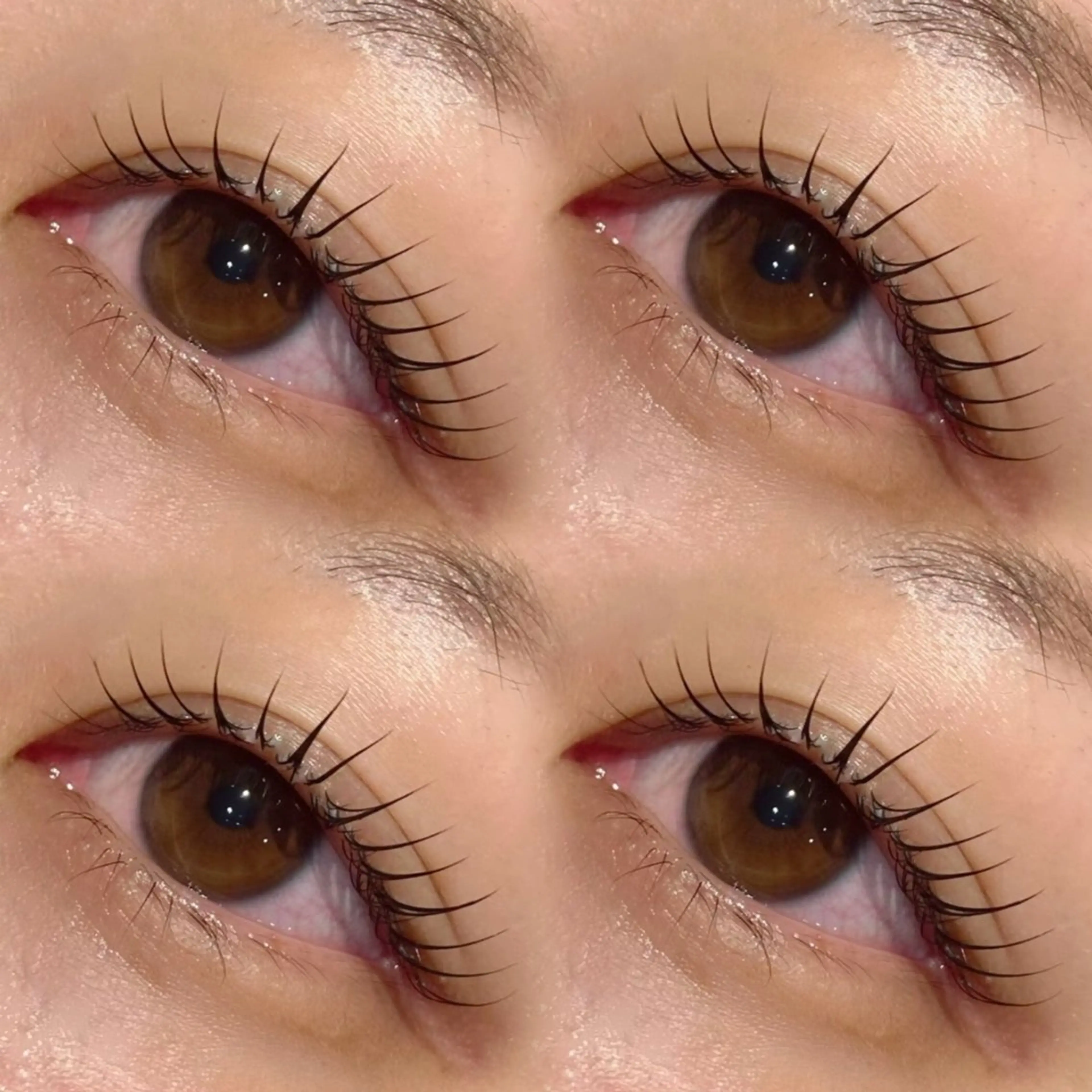 〖 minimo限定価格𓈒✵ 〗ご新規様 .. 選べる ˹ ラッシュリフト ˼の写真