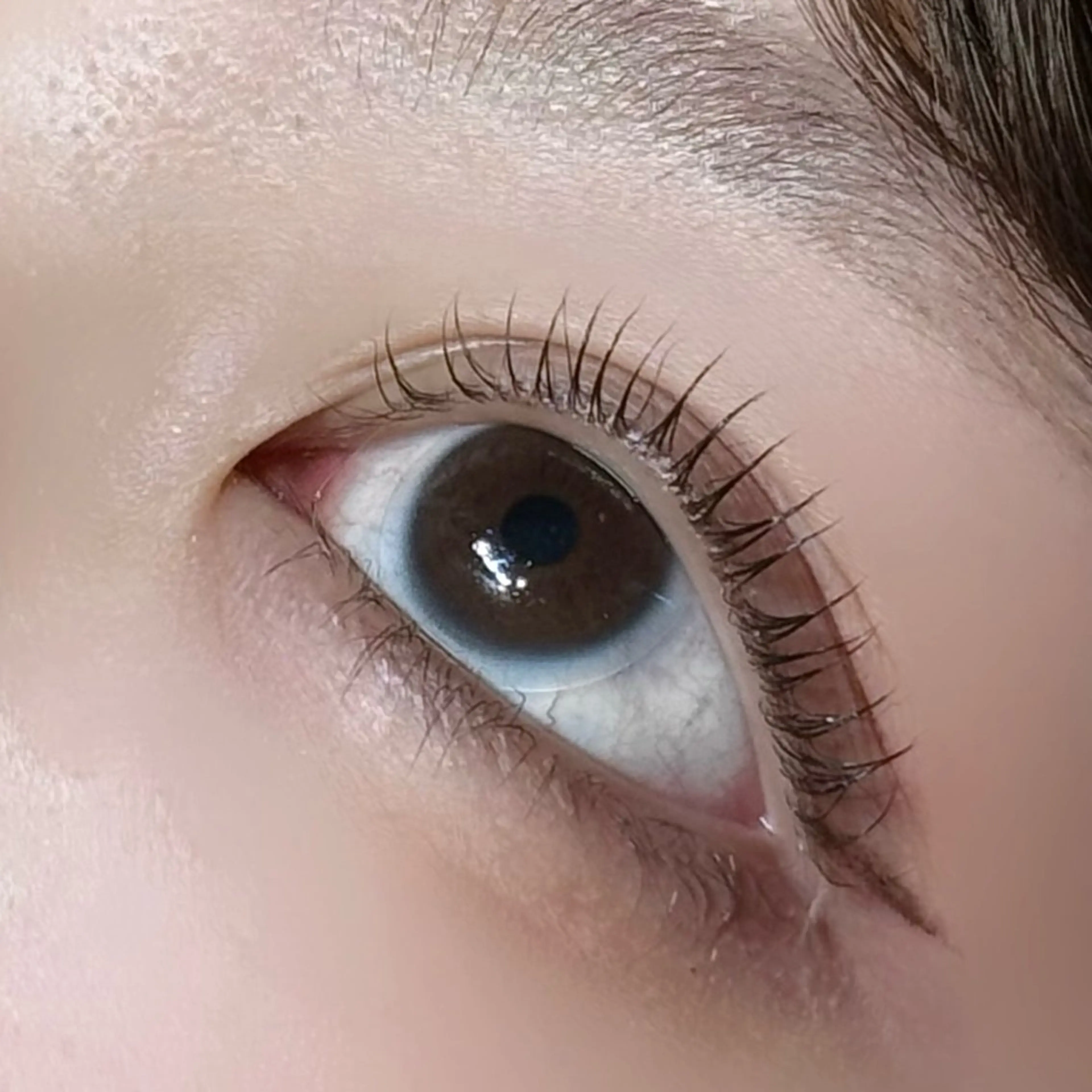 マツエク・マツパ LUMIA eyelash garden所属・梶 愛奈のマツエク・マツパデザイン