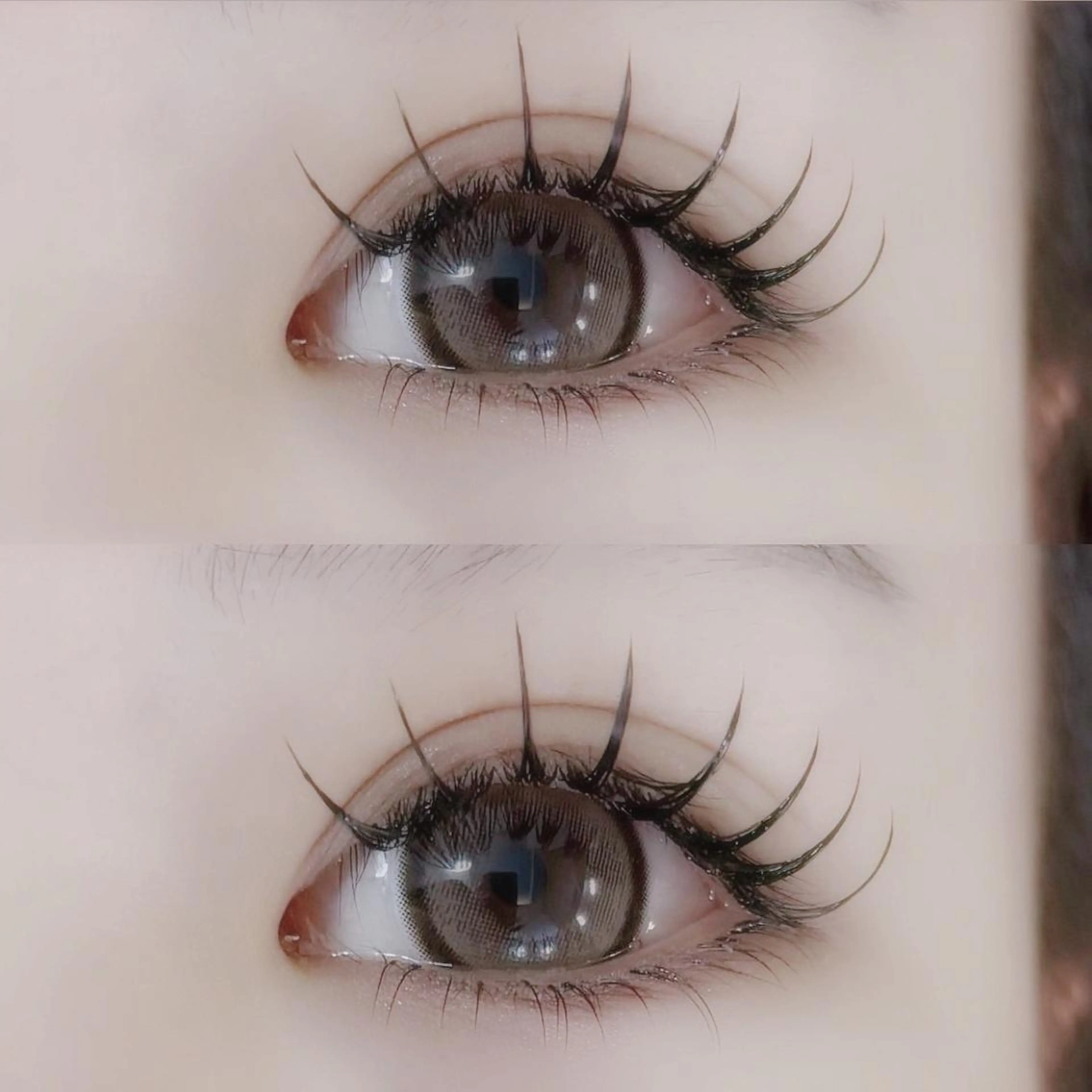 ❤️‍🔥ゲリラクーポン❤️‍🔥フラットラッシュ140本の写真