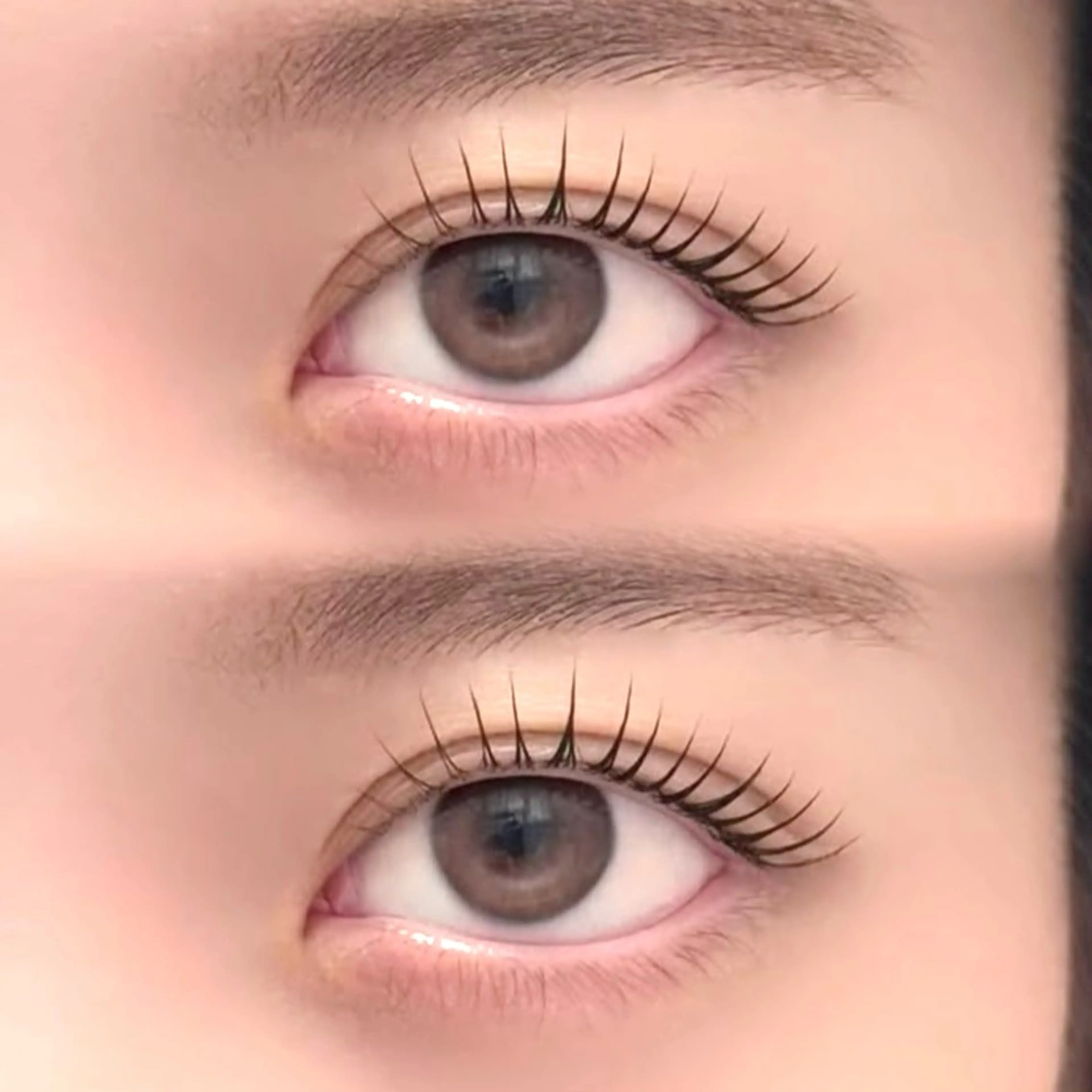 マツエク・マツパ 一重×まつ毛パーマ salonAiles 【エル】SASAMEのマツエク・マツパデザイン