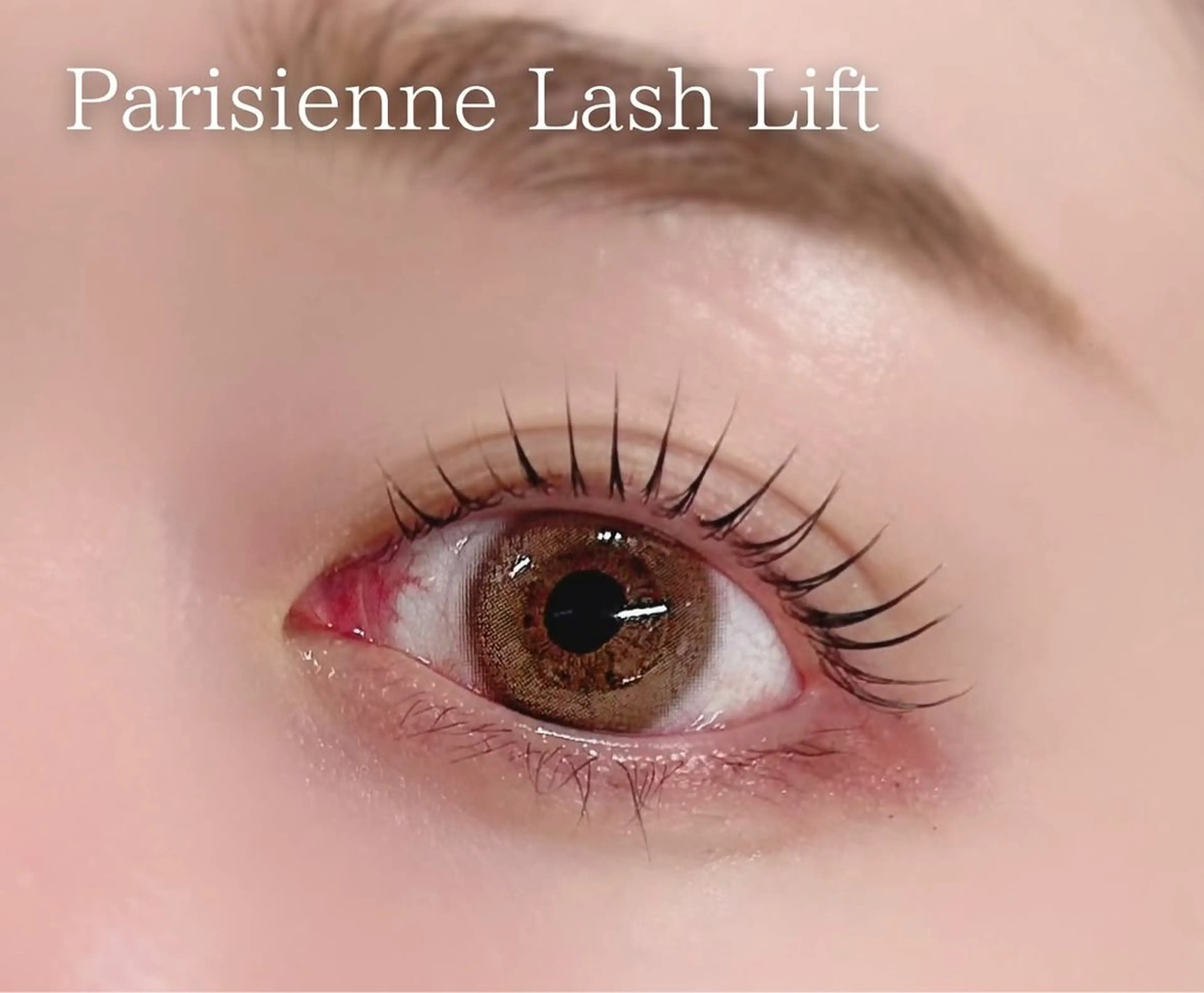 マツエク・マツパ パリジェンヌラッシュリフト 一重×まつ毛パーマ shota/マツエク /まつ毛パーマのその他イメージ