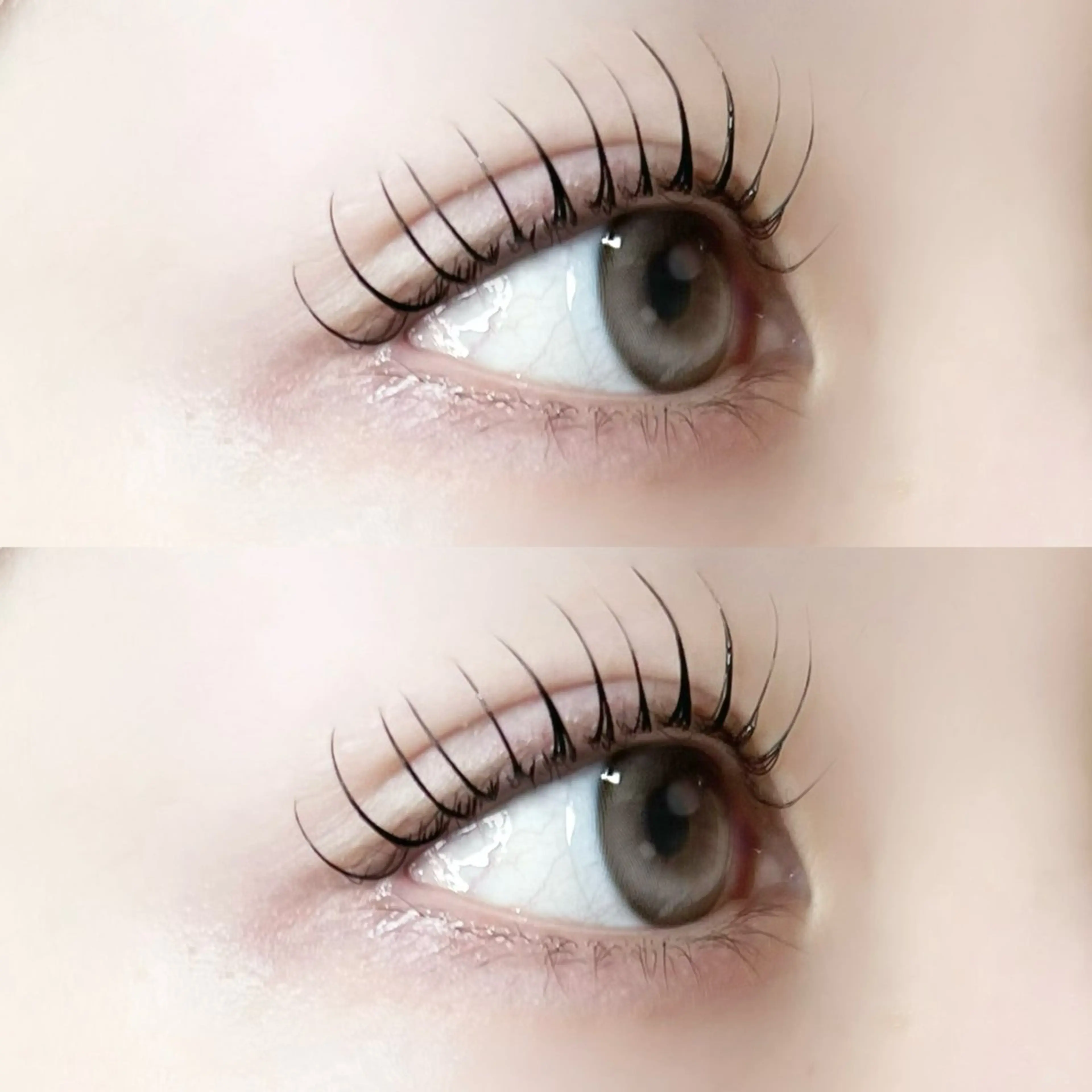 マツエク・マツパ マツパ lit.🧸 MACOのマツエク・マツパデザイン