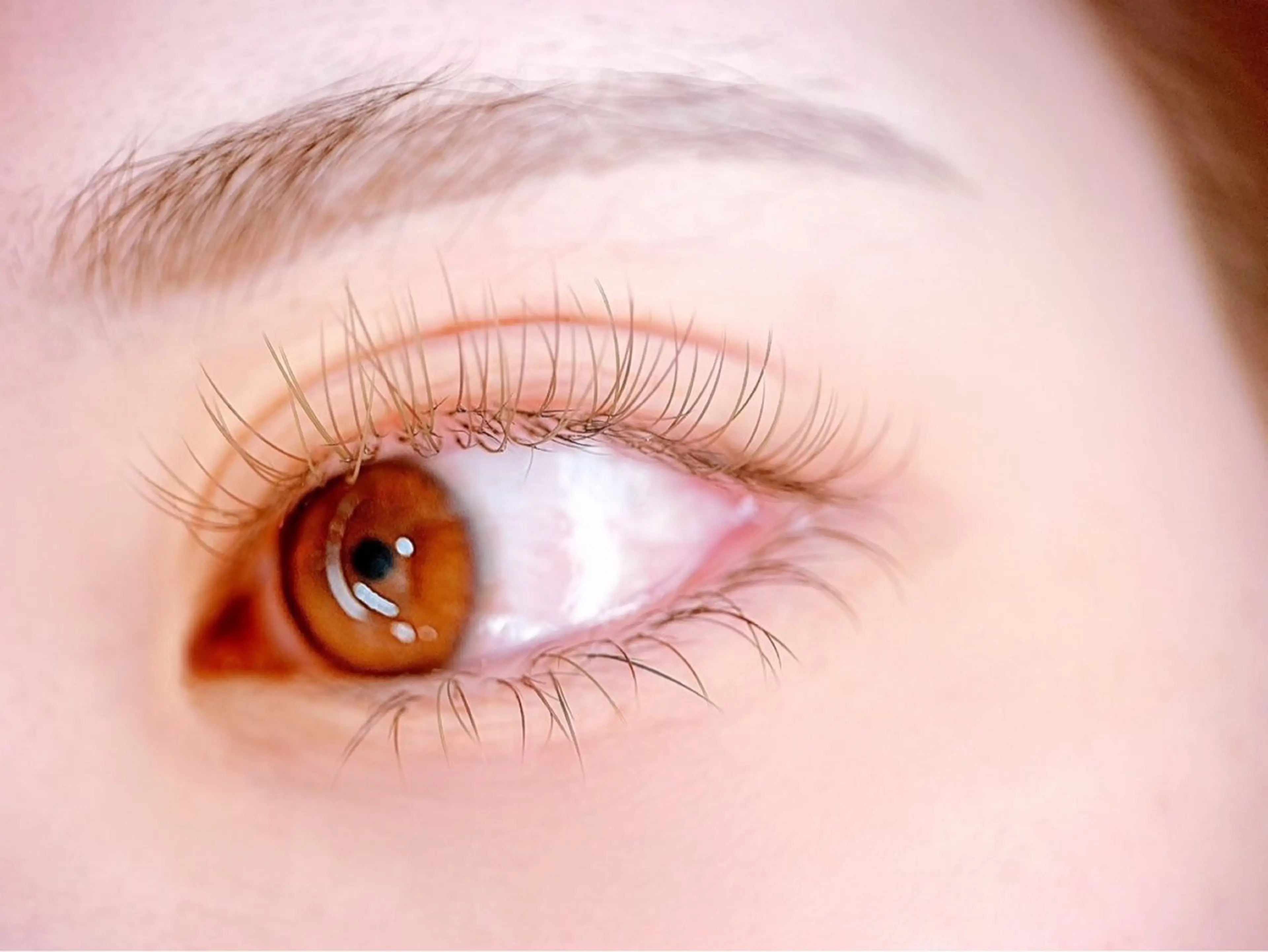 【小顔効果✨】下まつ毛20​〜​40本　(※他メニューとセットの場合¥3850)の写真