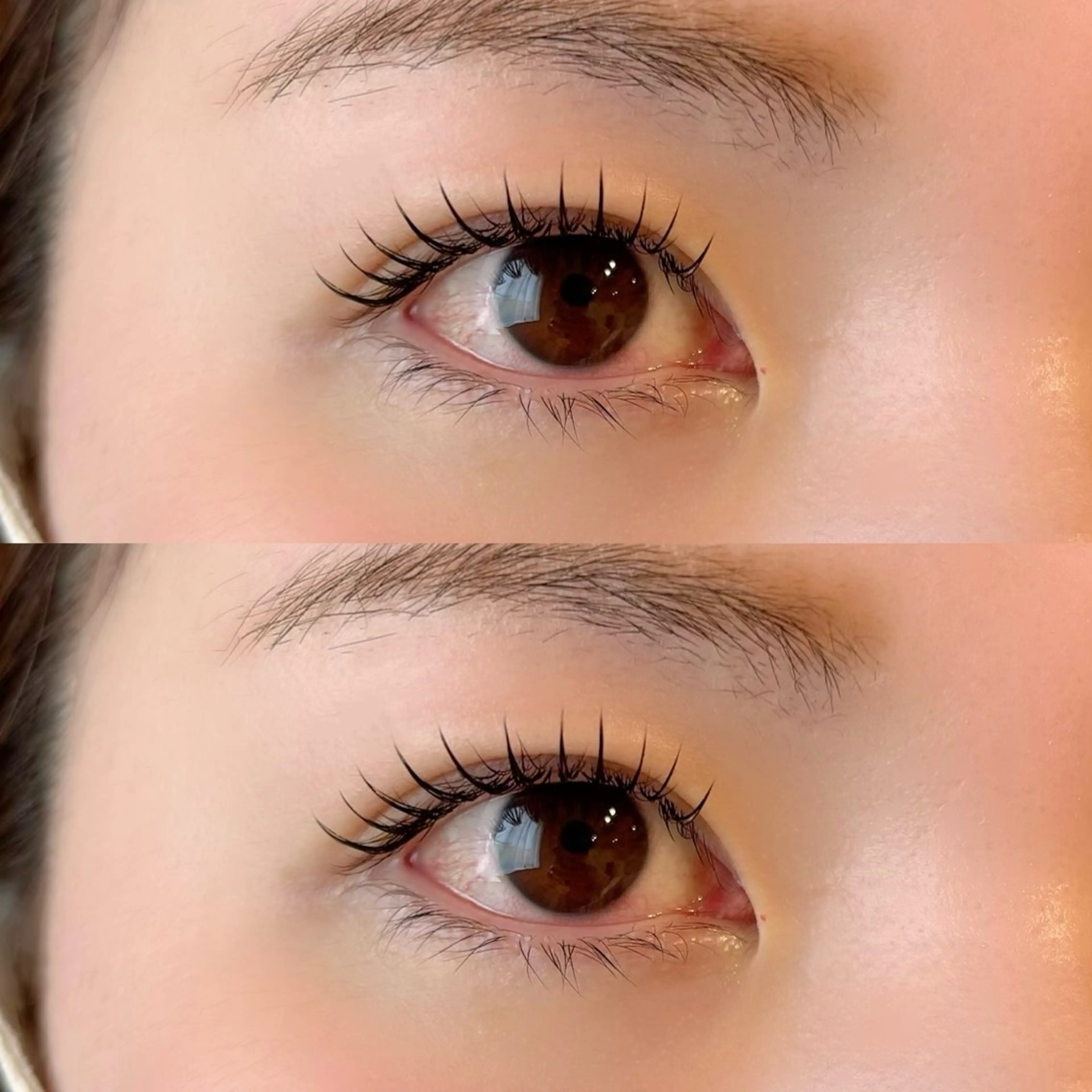 マツエク・マツパ 束感まつ毛 フラットラッシュ TREE 筒井紫歩のマツエク・マツパデザイン