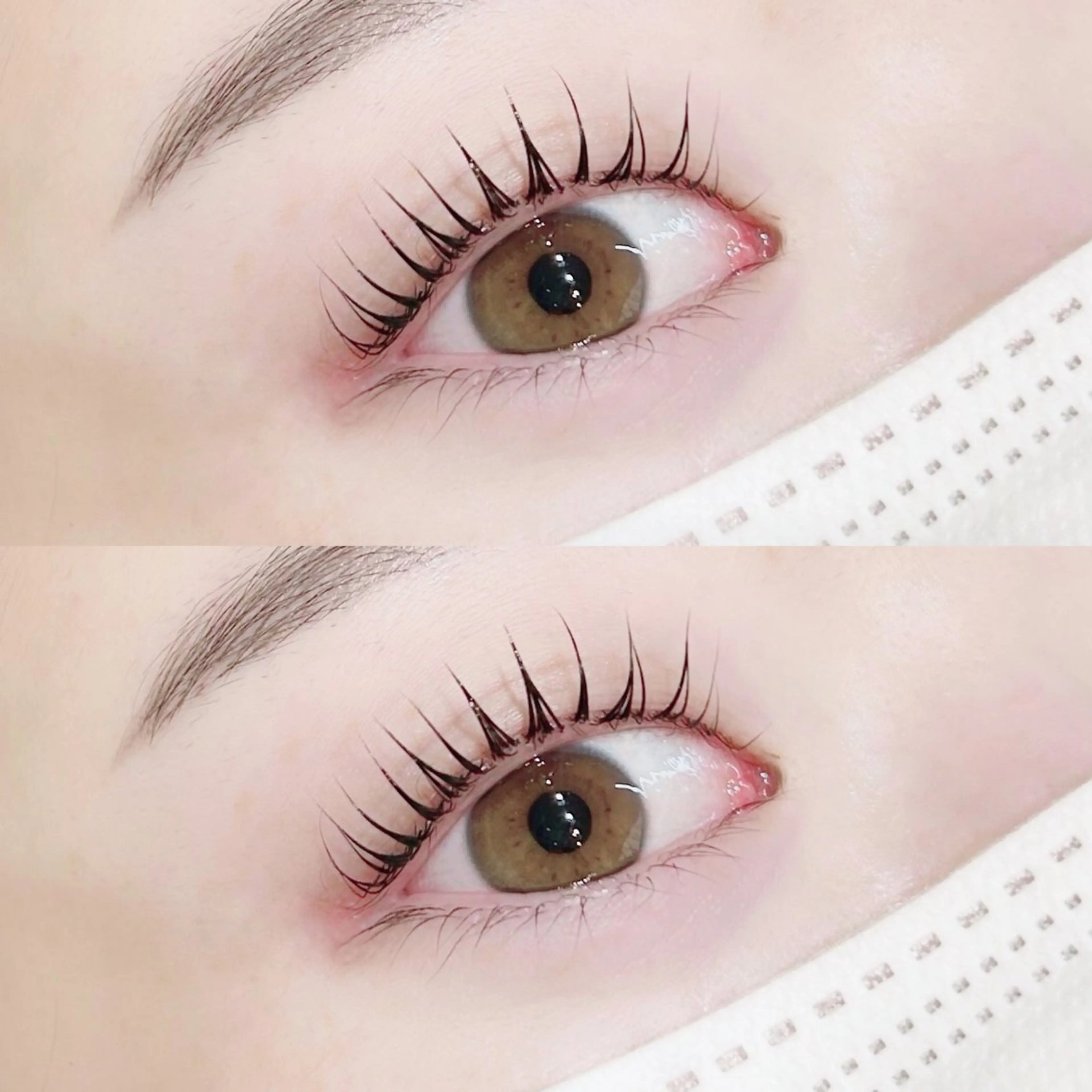 【選べるまつげパーマ】🌙パリジェンヌorラッシュリフト上下🌙の写真