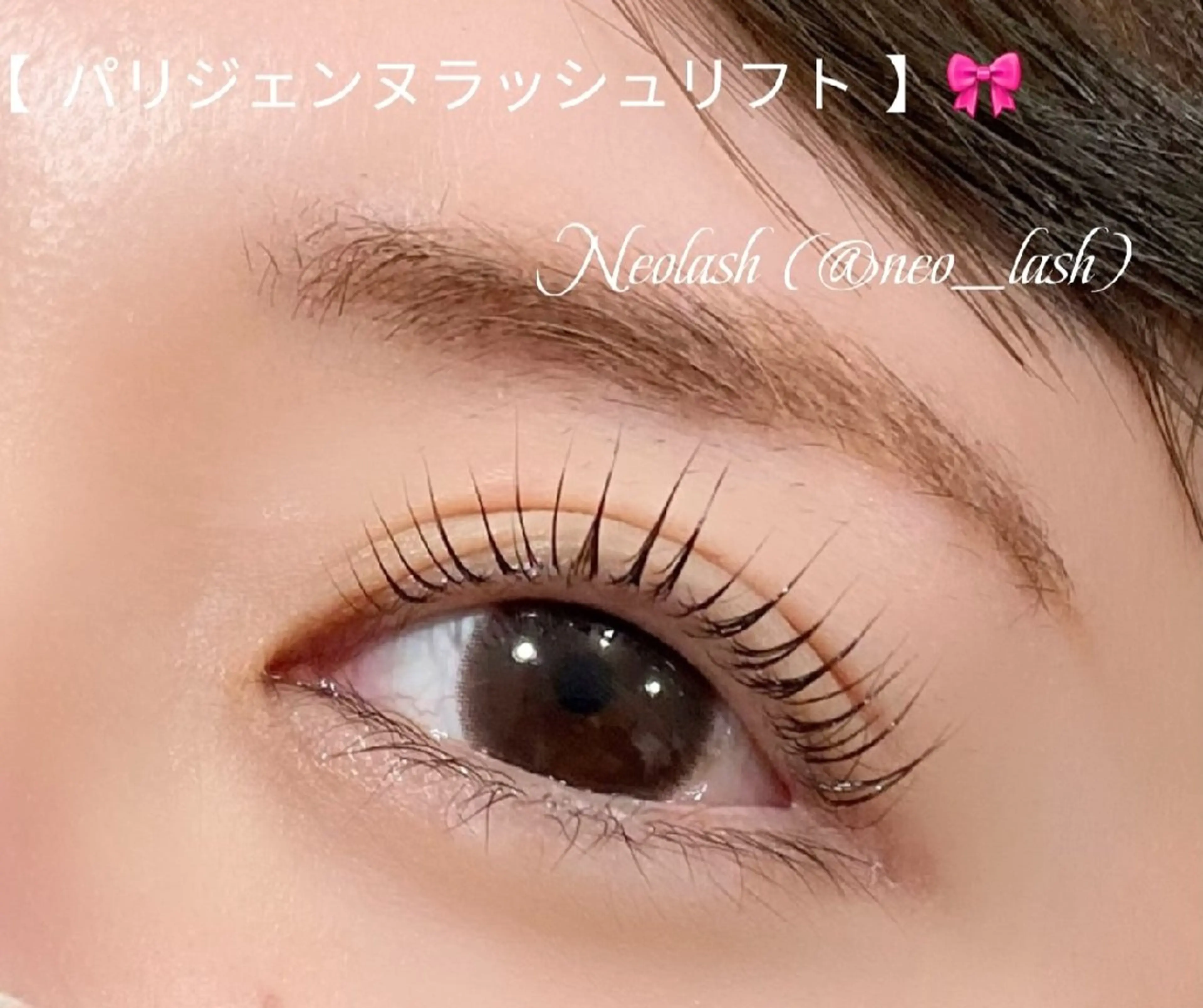 【ミニモ限定モデル】パリジェンヌラッシュリフト or 似合わせまつ毛パーマの写真