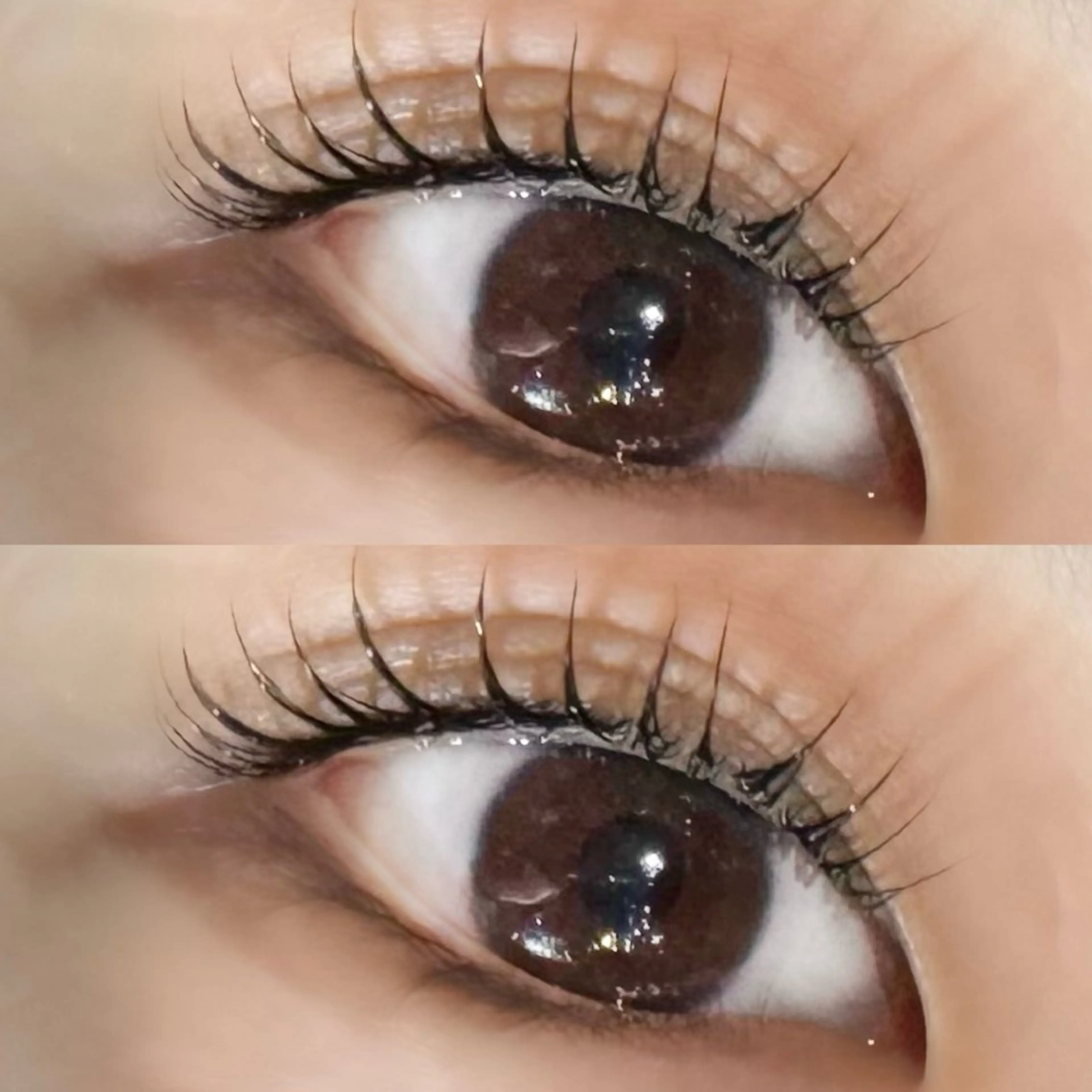 マツエク・マツパ マツパ Rena 泉中央のマツエク・マツパデザイン