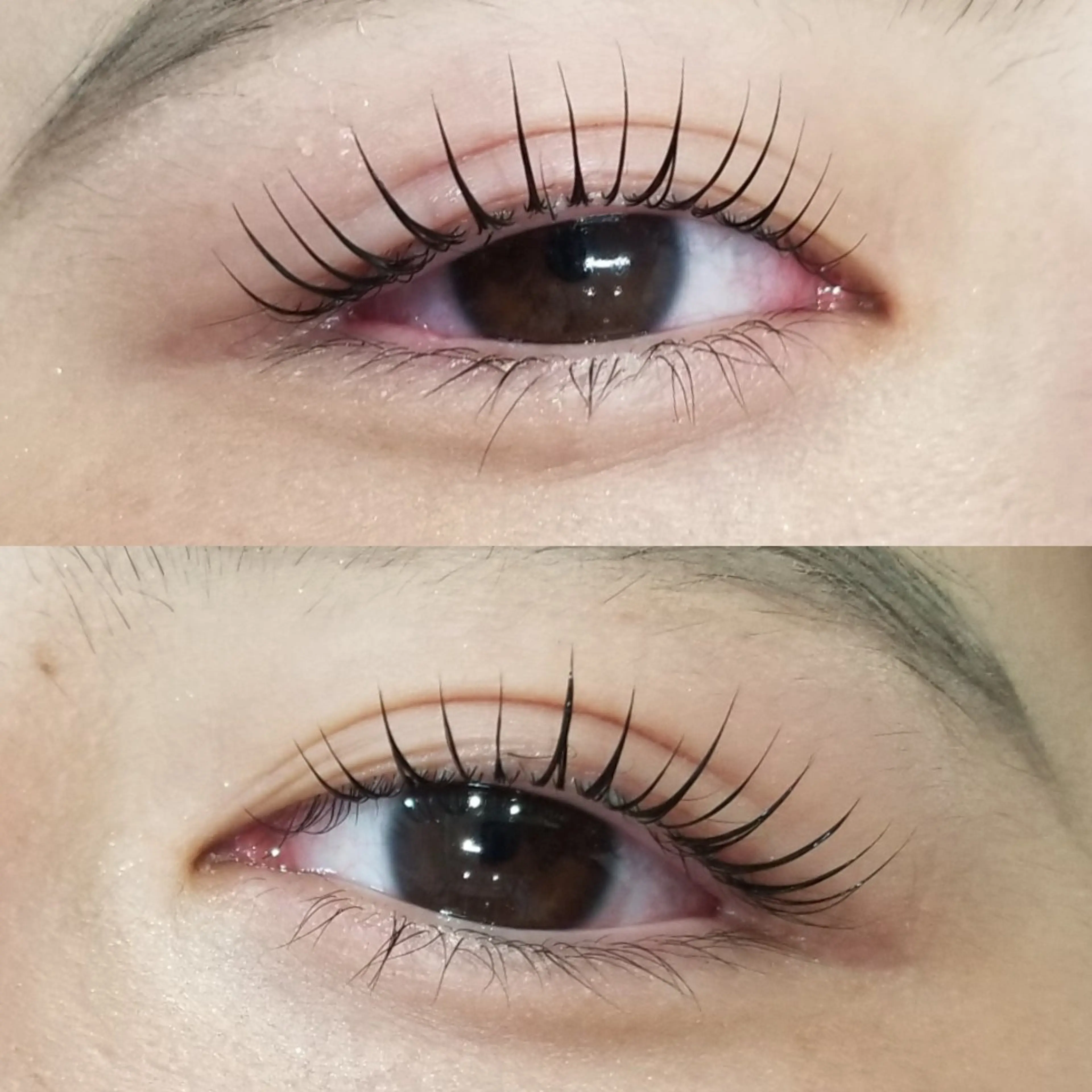 マツエク・マツパ まつげパーマ Dearly【ディアリー】所属・【Dearly】 金城智美のマツエク・マツパデザイン