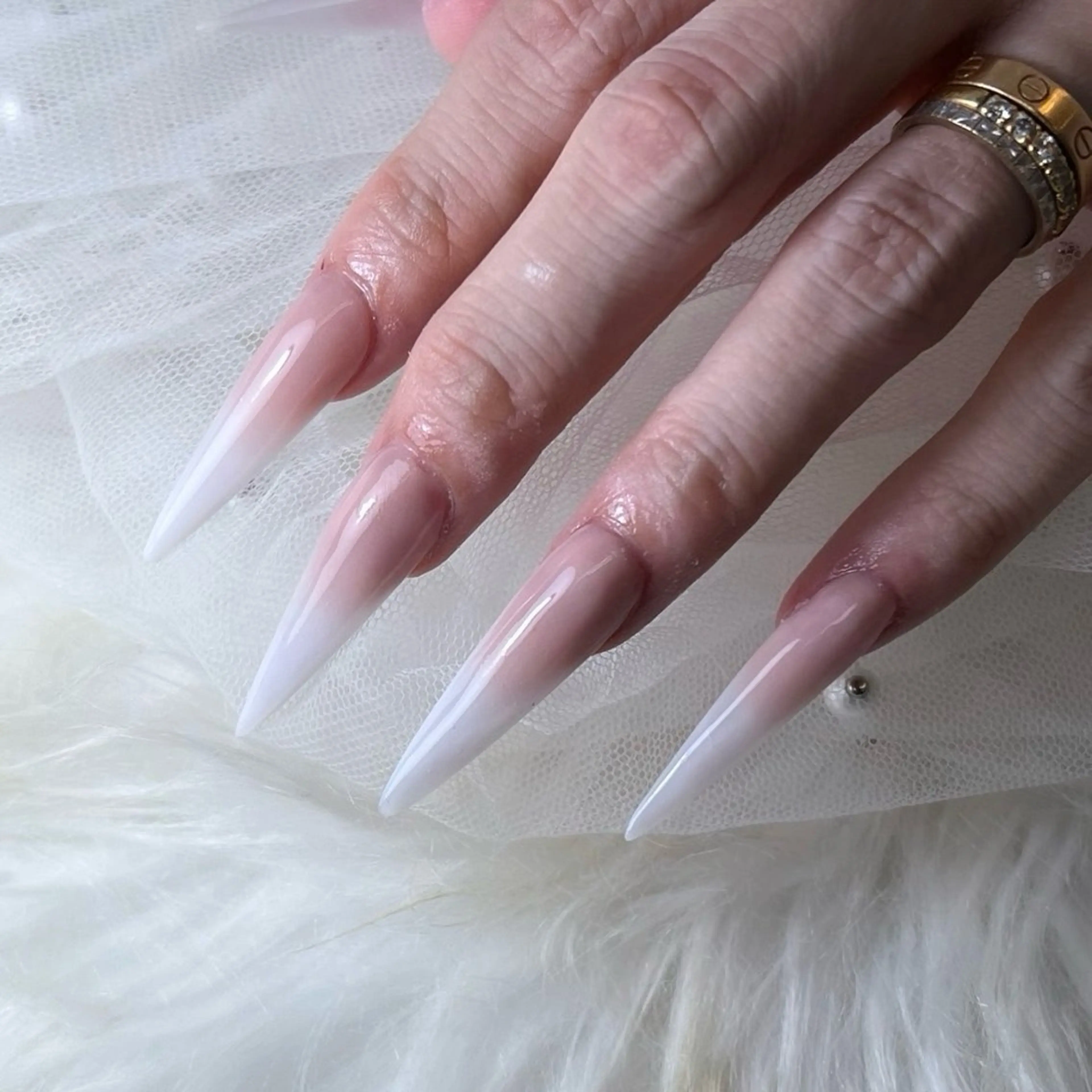 スカルプベイビーブーマーの写真