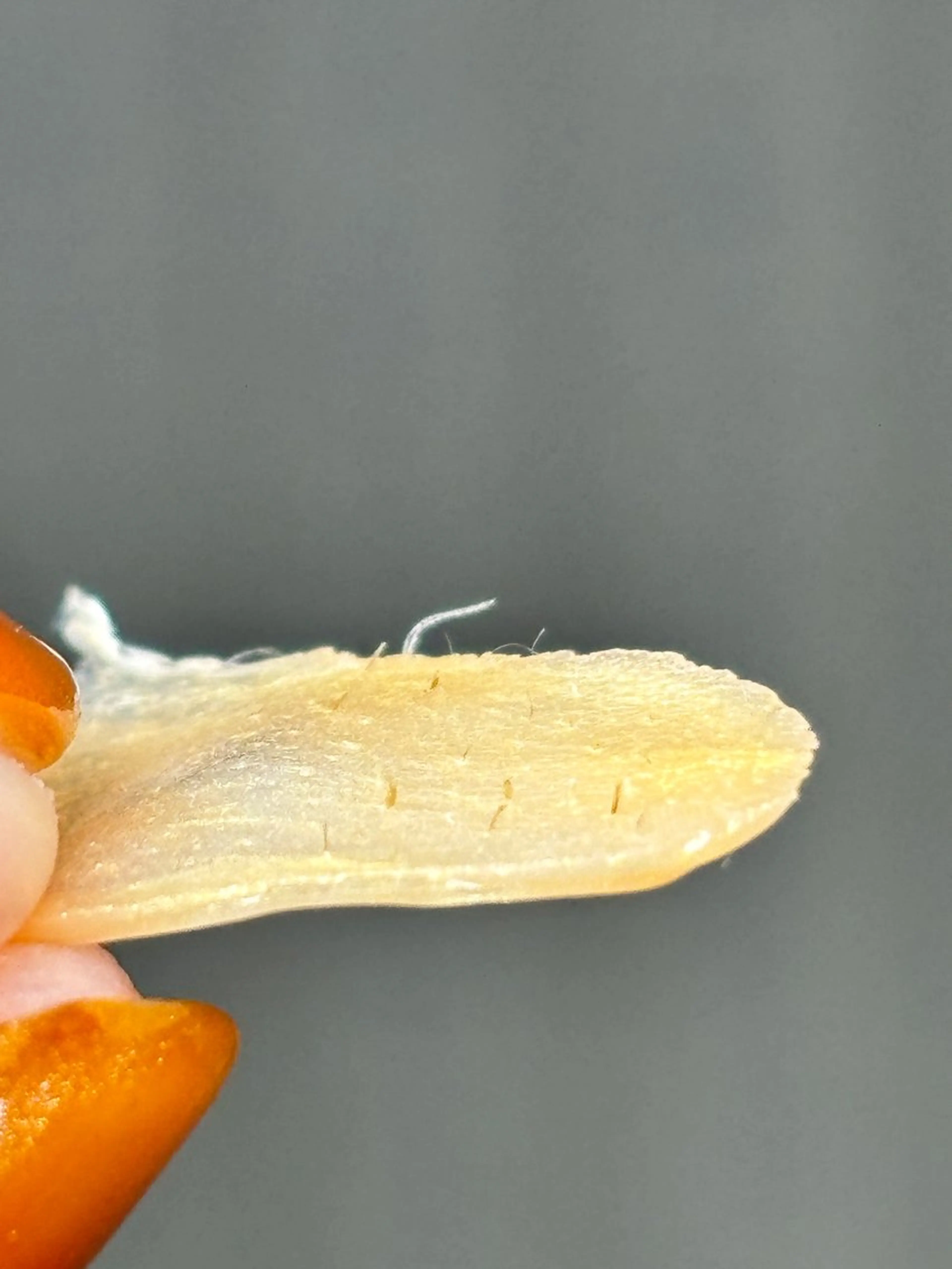 エステ sourire.11 ☺︎emiのエステ・リラクイメージ