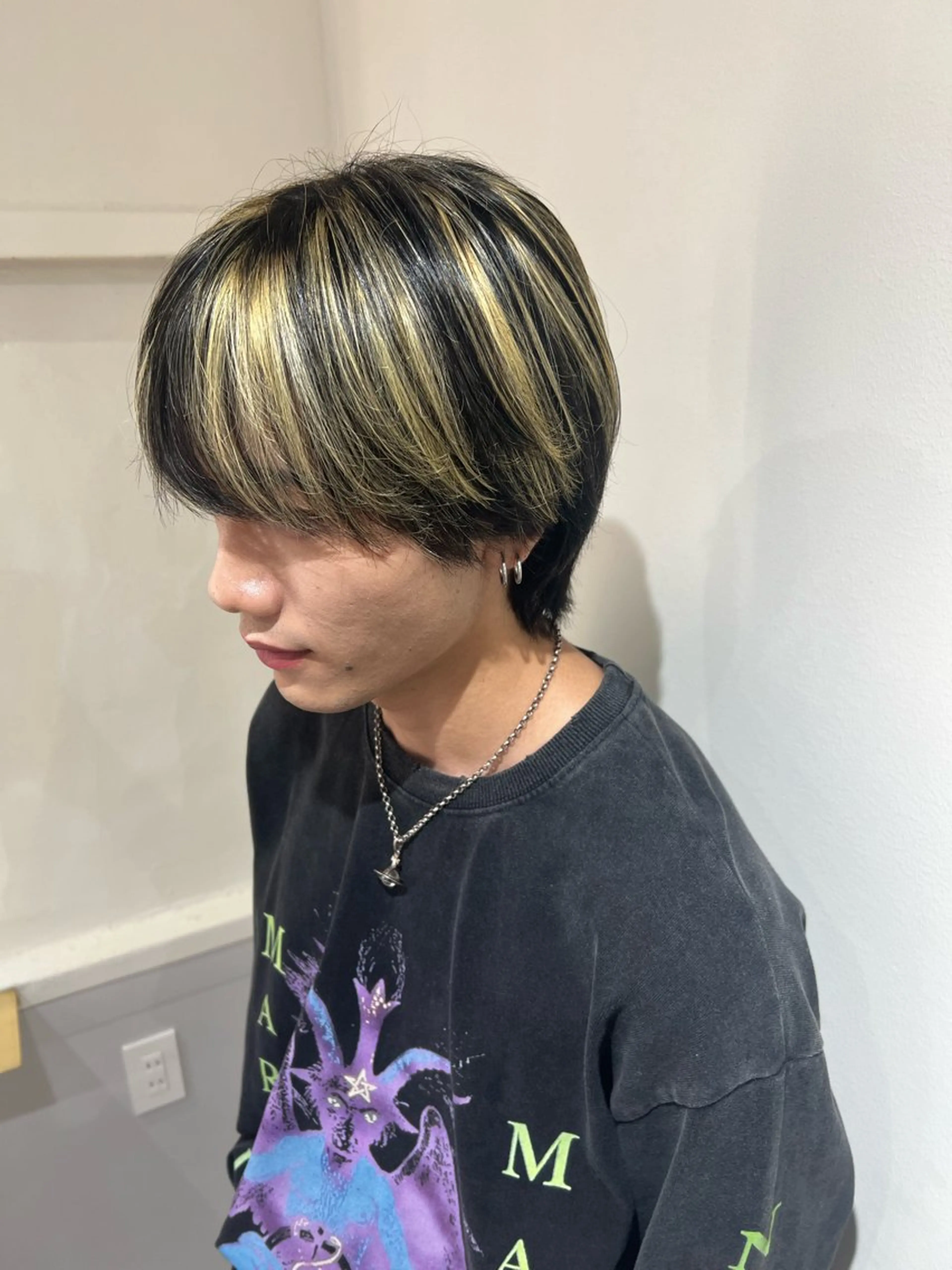 ショート カラー ハイライトカラー ハイライト 髙橋 秀果のヘアスタイル