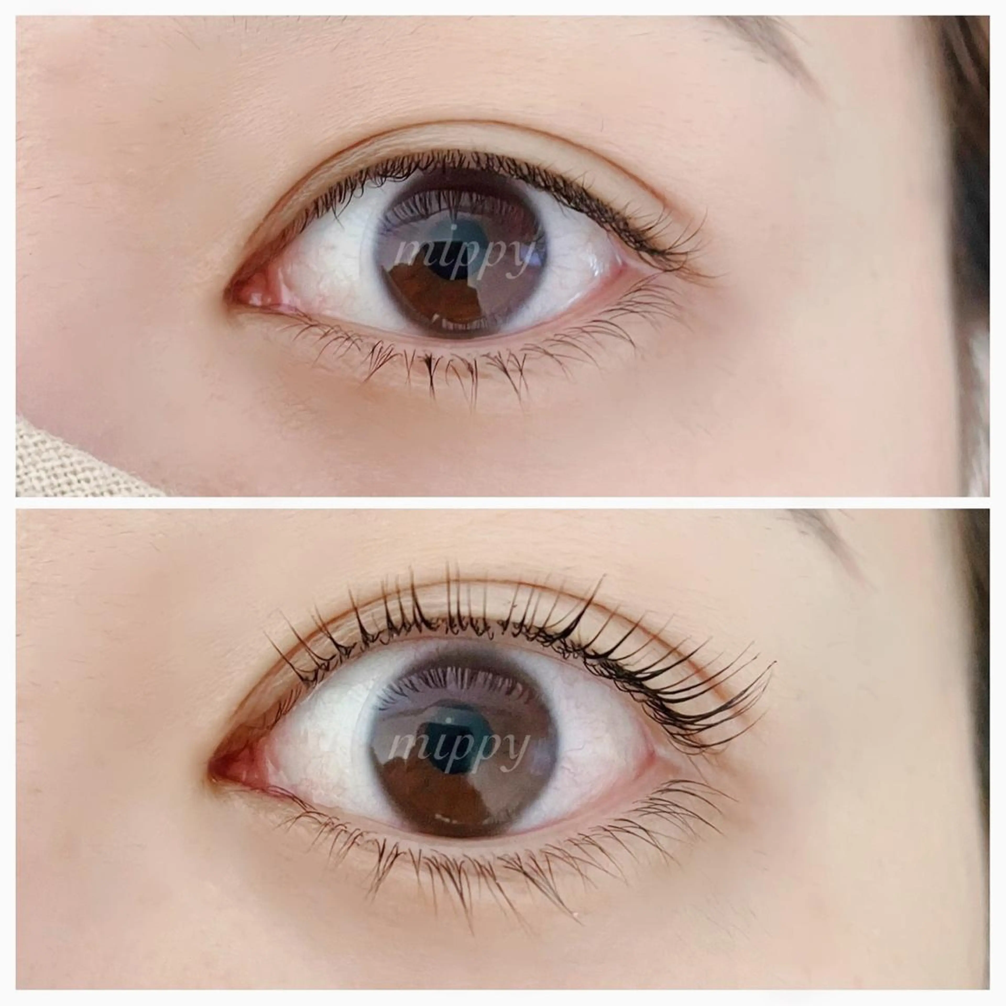 マツエク・マツパ パリジェンヌラッシュリフト ｍｉｐｐｙ 🪽のマツエク・マツパデザイン