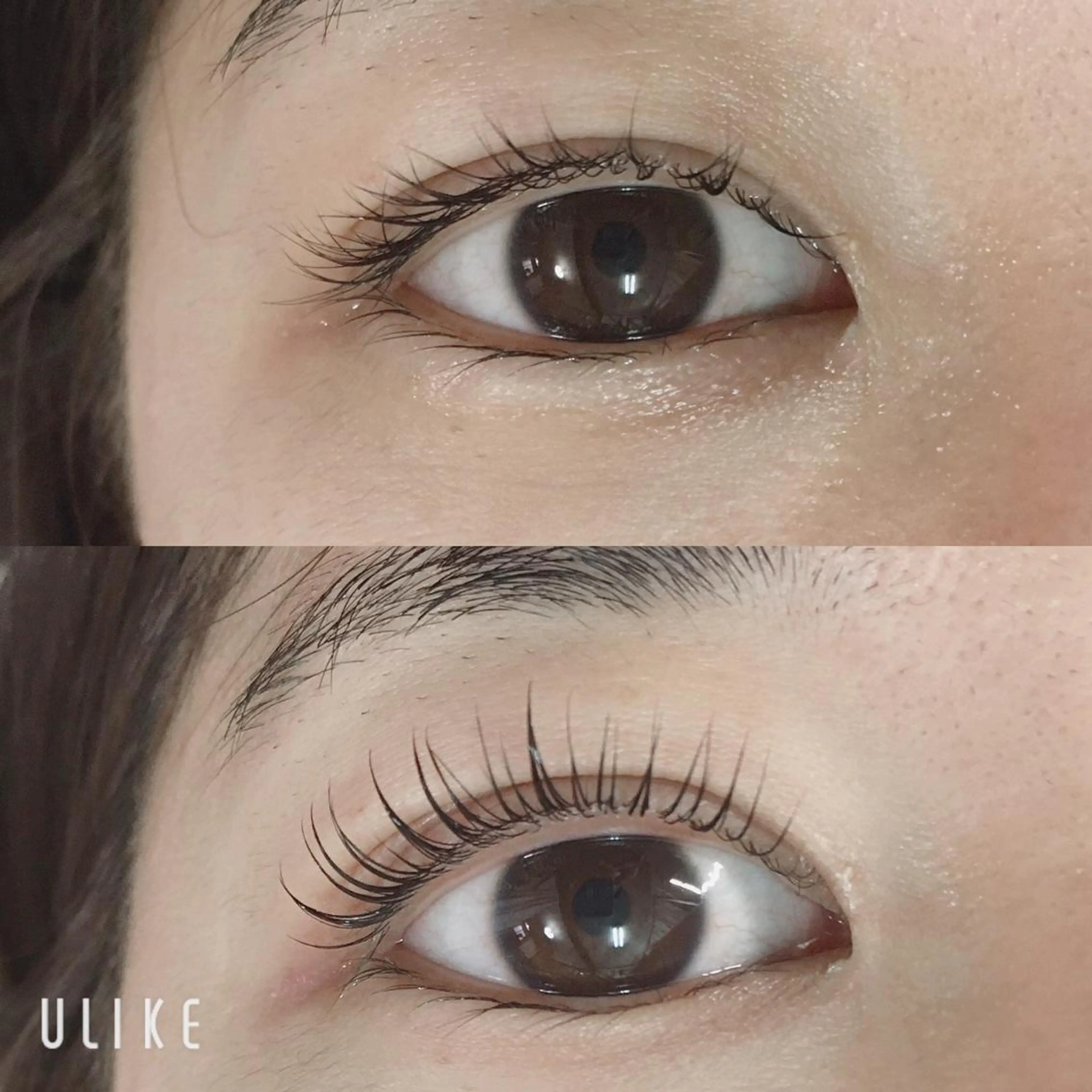 マツエク・マツパ マツパ Lotus.所属・Lotus. makoのエステ・リラクイメージ