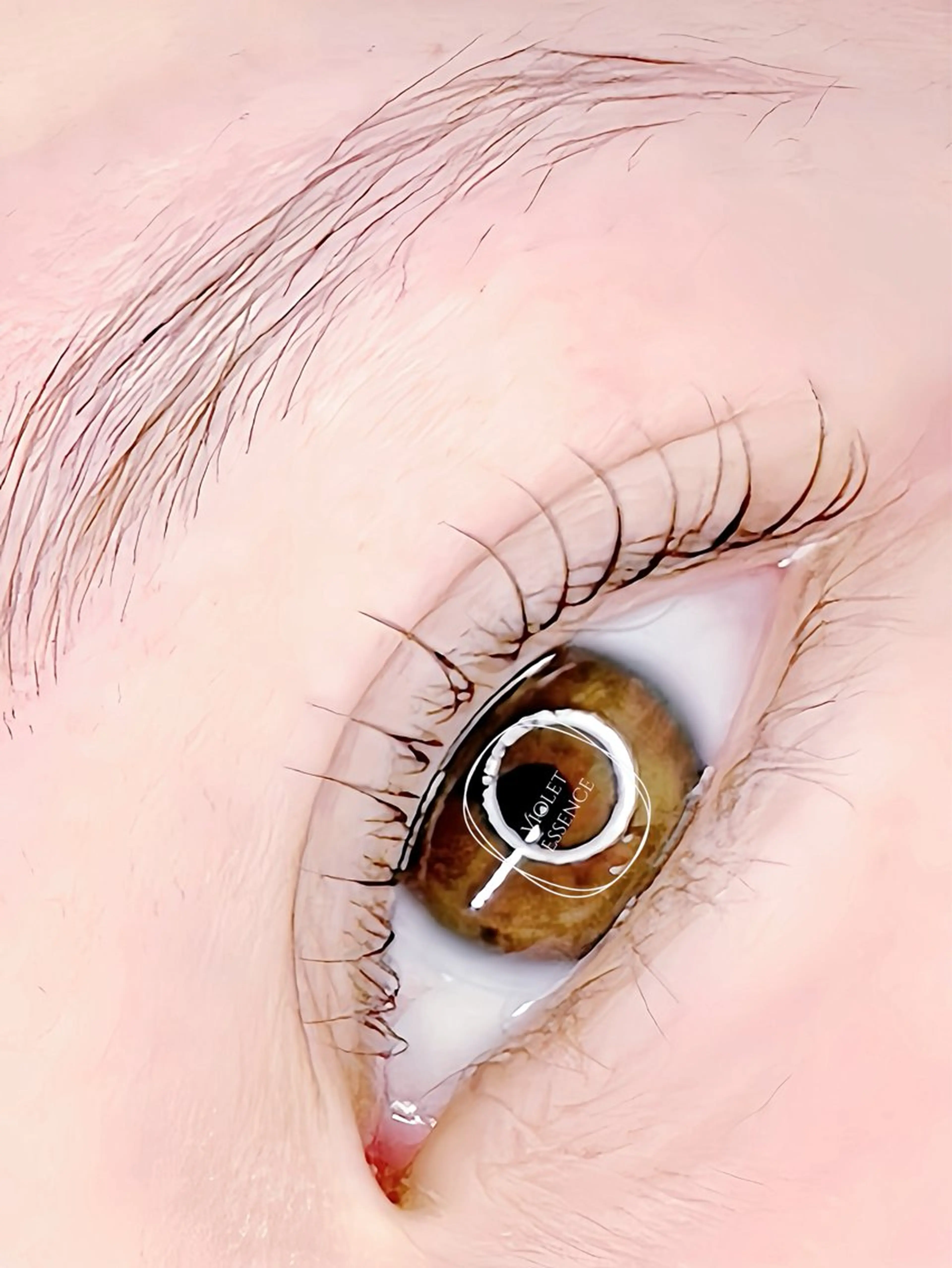 マツエク・マツパ Violet Essenceの眉毛・アイブロウイメージ