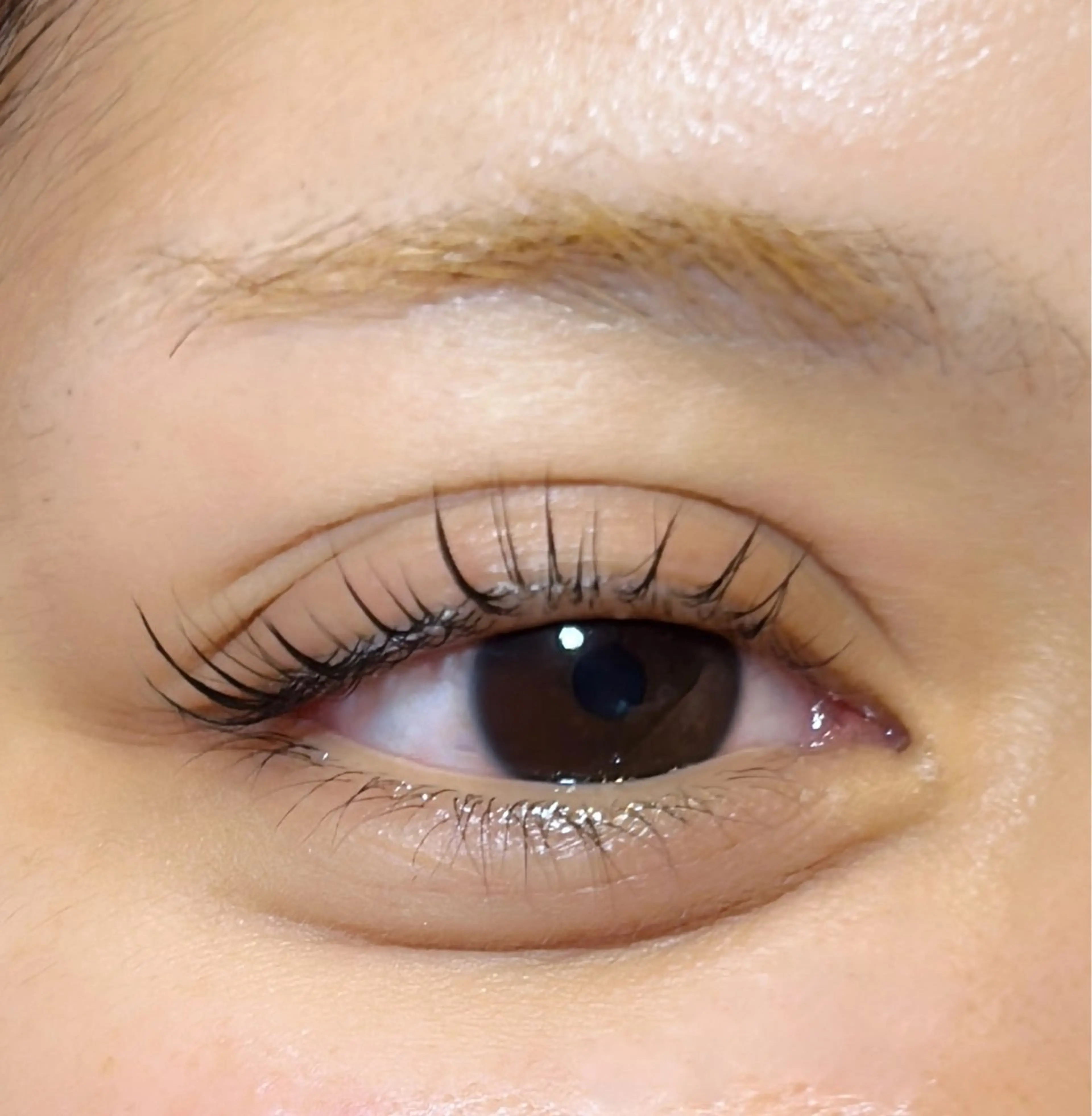 マツエク・マツパ 古代(フルヨ) 捺音(ナツネ)🍀のヘアスタイル