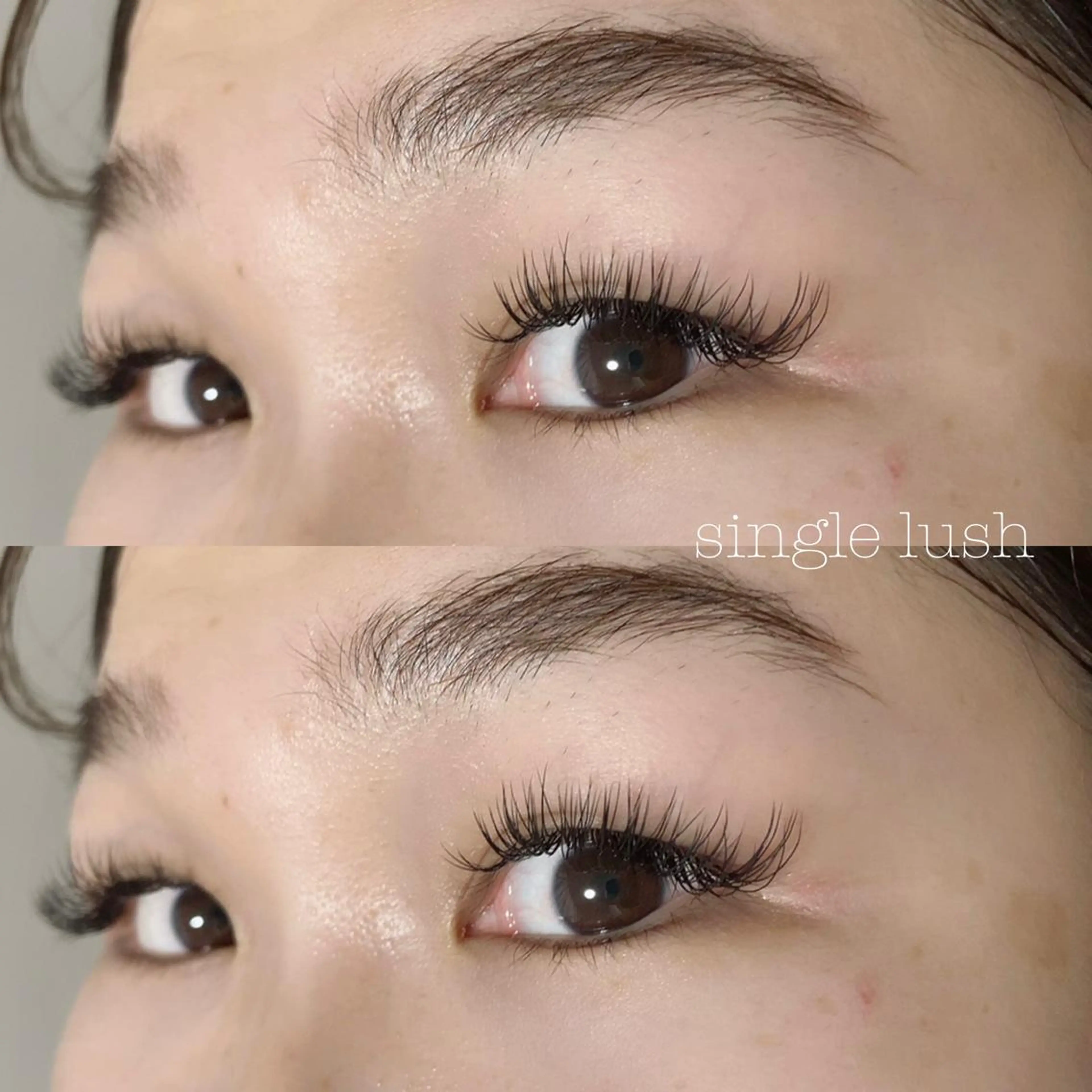 ♡シングルラッシュ♡　本数無制限の写真