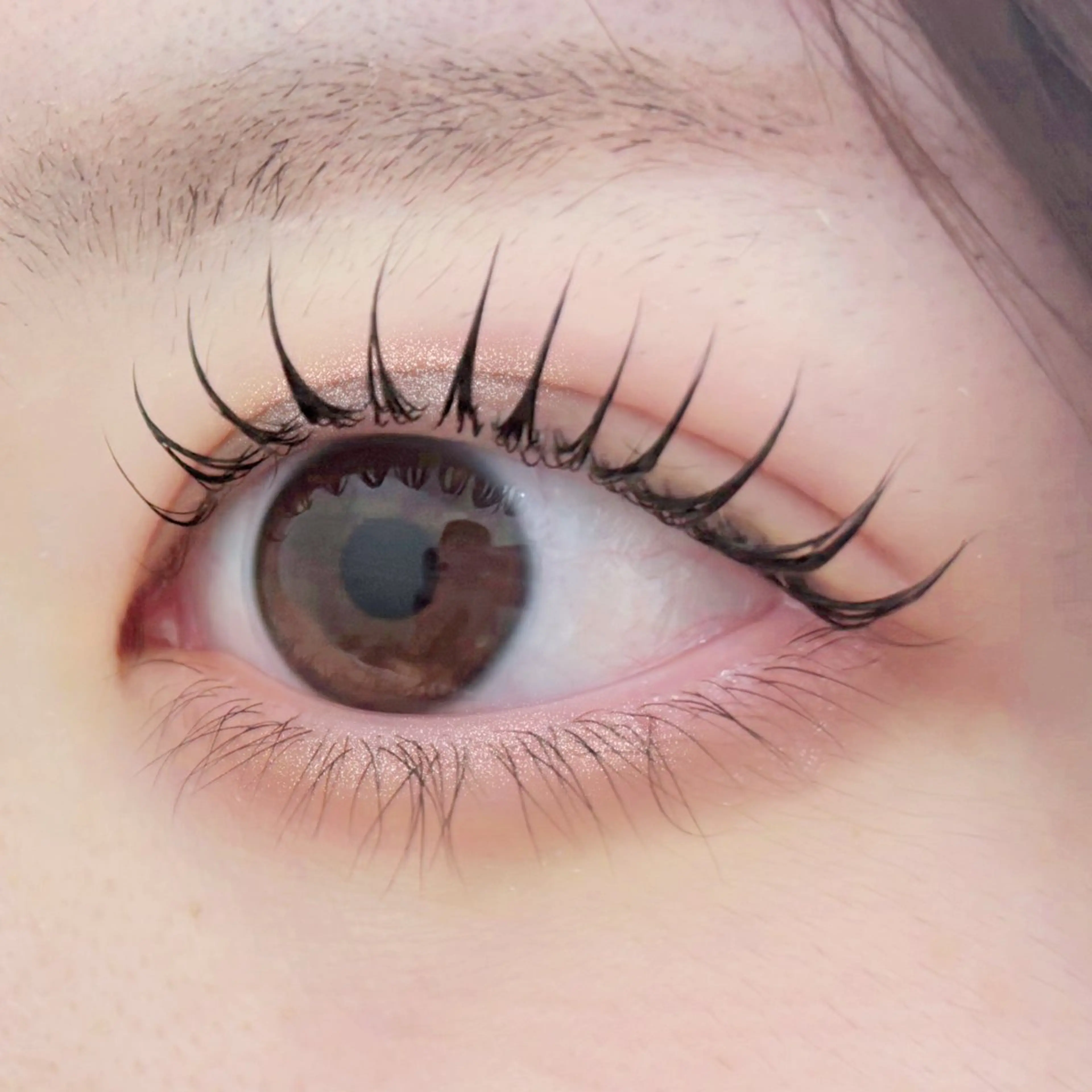 マツエク・マツパ Dカール マツパ 韓国まつげ_束エク ⟡mikoのマツエク・マツパデザイン