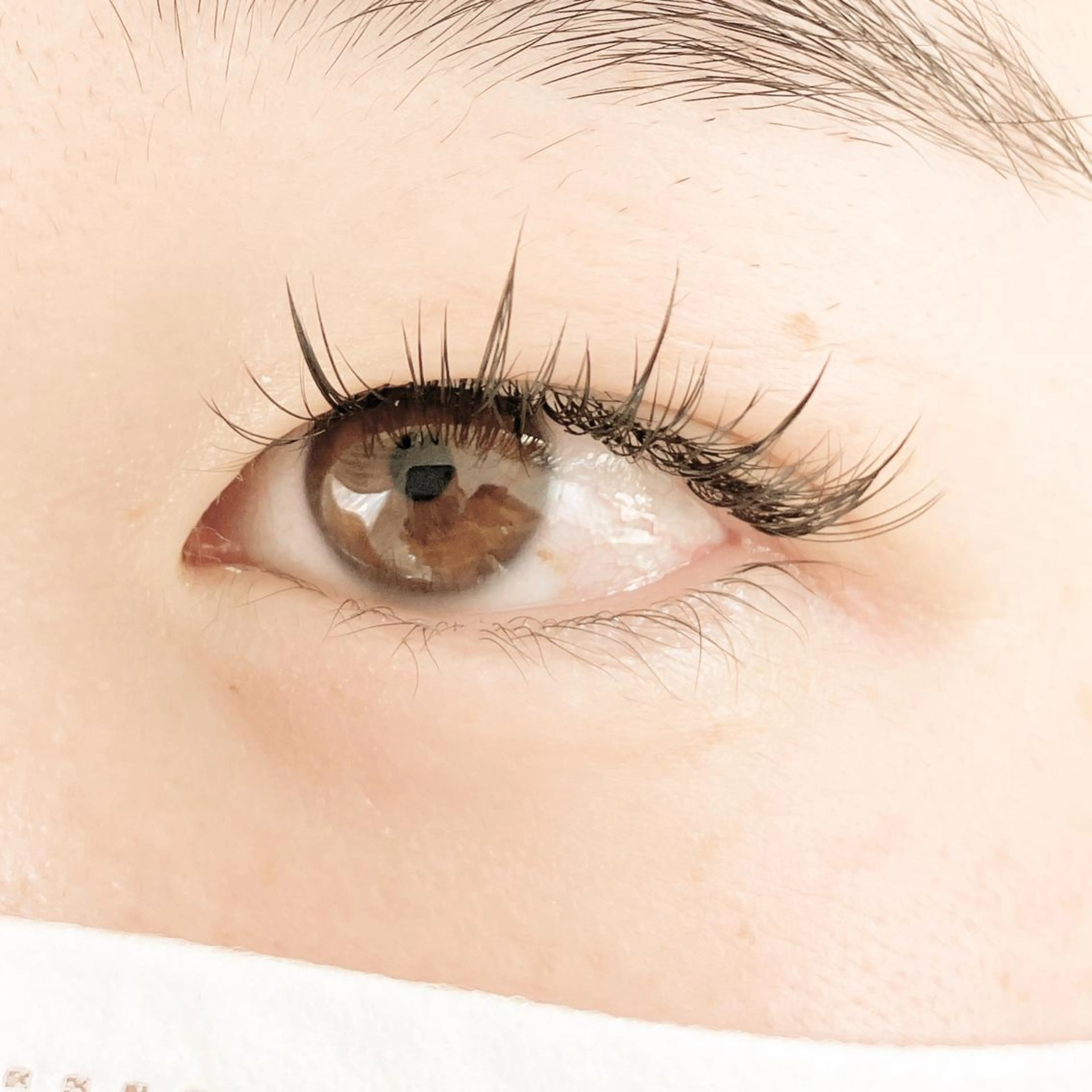 マツエク・マツパ ナチュラル ワンホンマツエク 戸田 早耶のマツエク・マツパデザイン