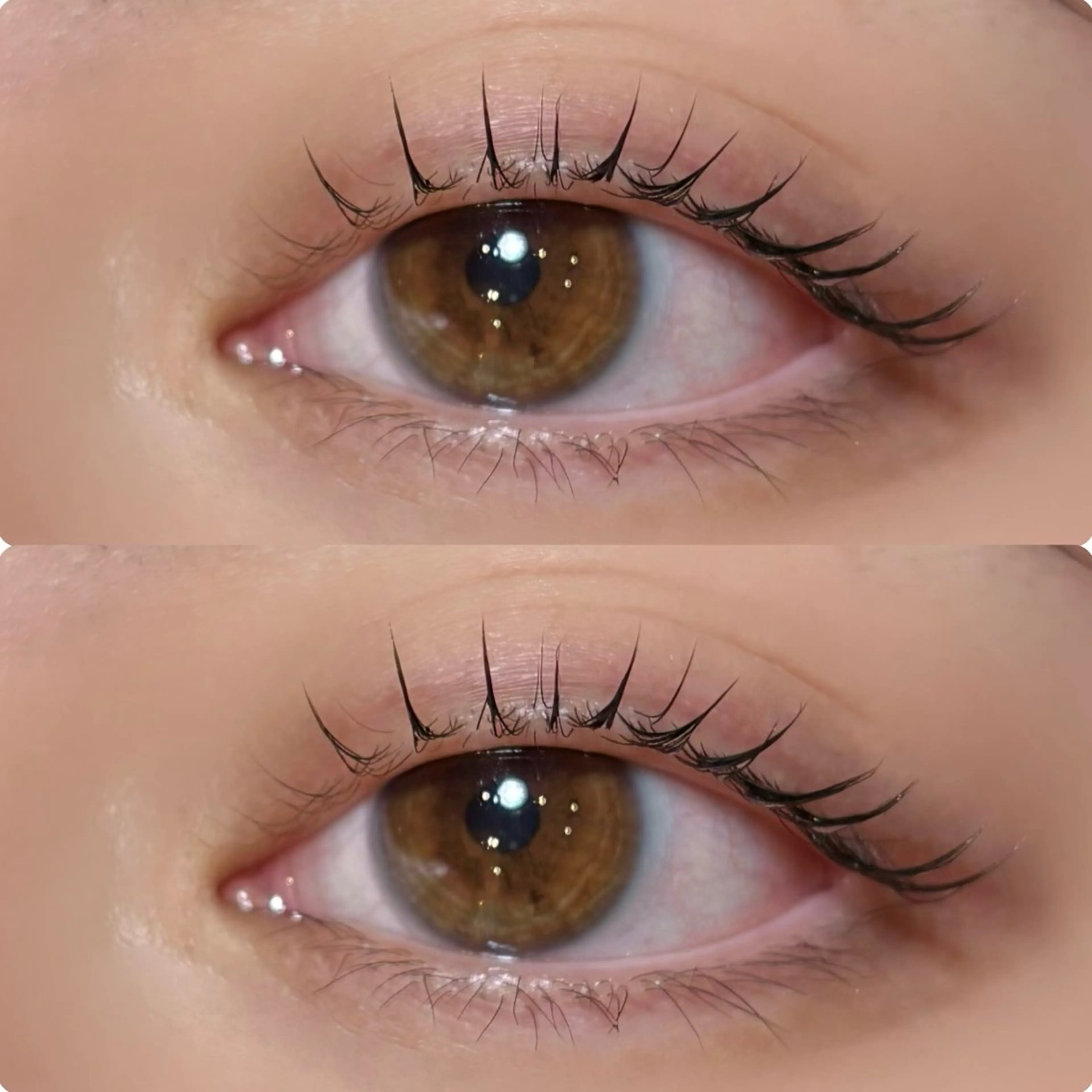 マツエク・マツパ マツパ meguru／マツパ ／マツエク／束感のマツエク・マツパデザイン