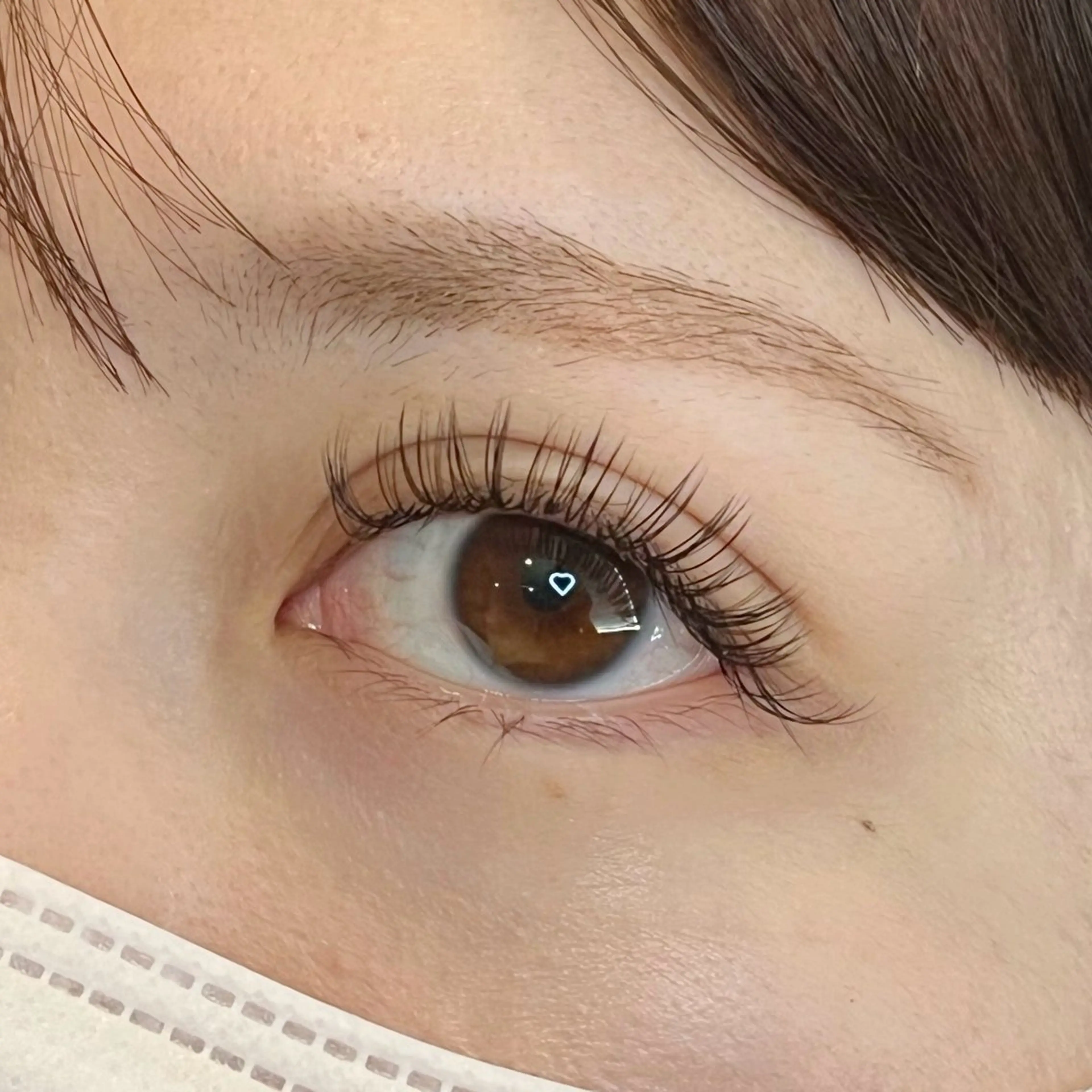 【オフ込み】バインドロック 60束の写真