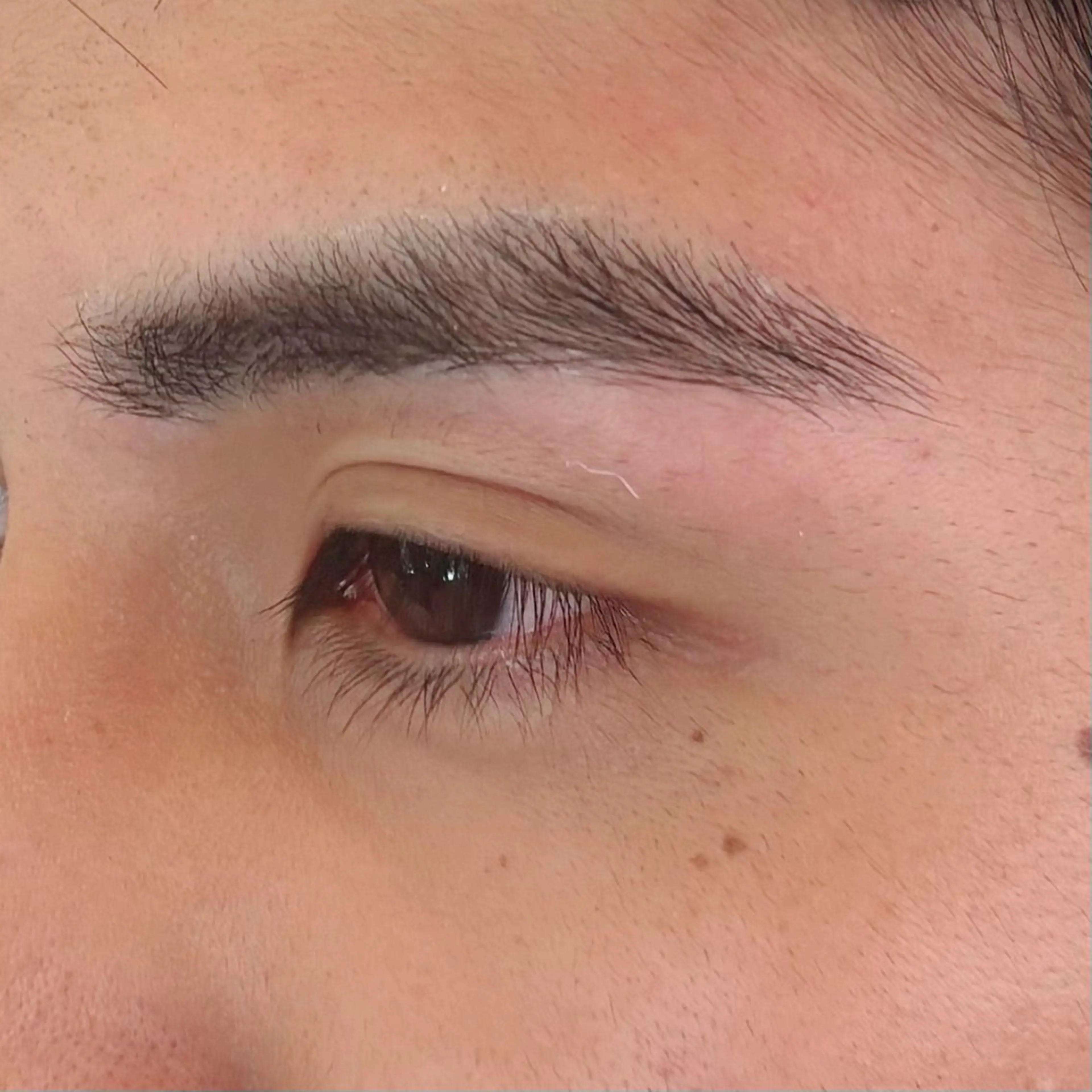 【ミニモ学割】 【MEN'S 】眉wax アイブロウスタイリング】の写真