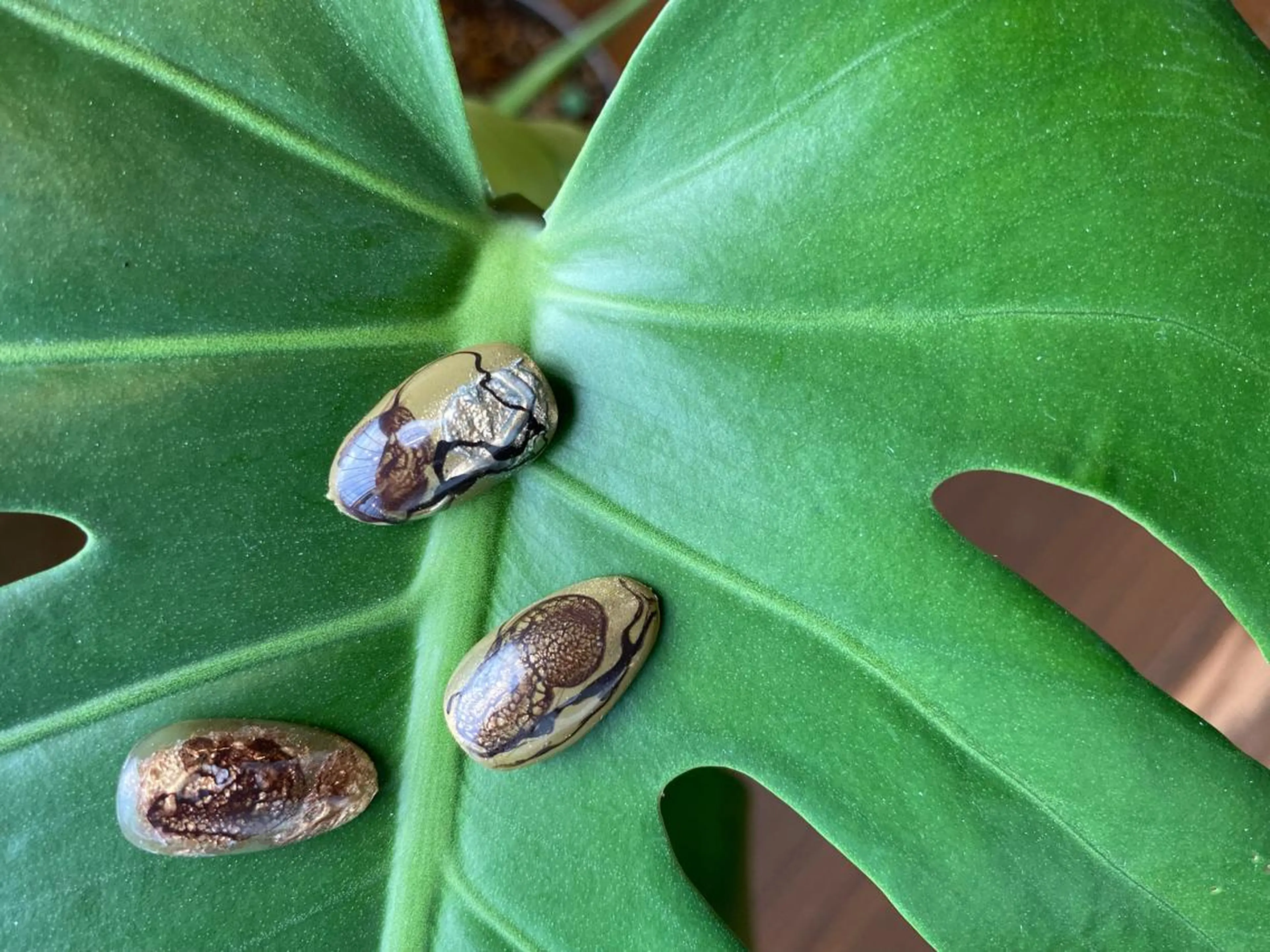 ネイル 49-seek所属・49-seek 松野千恵子のネイルデザイン