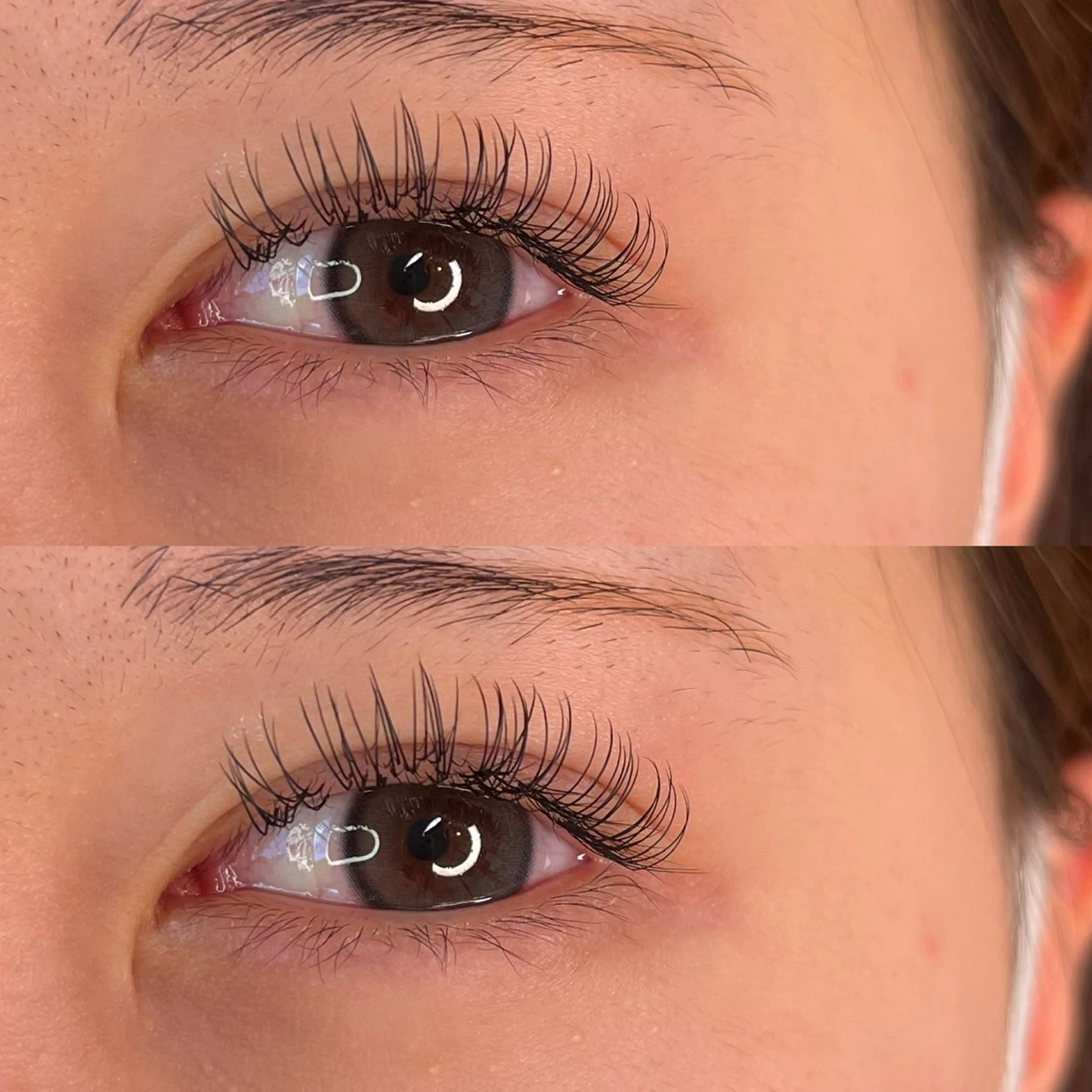 マツエク・マツパ Dカール CAMELLIA カメリアのマツエク・マツパデザイン