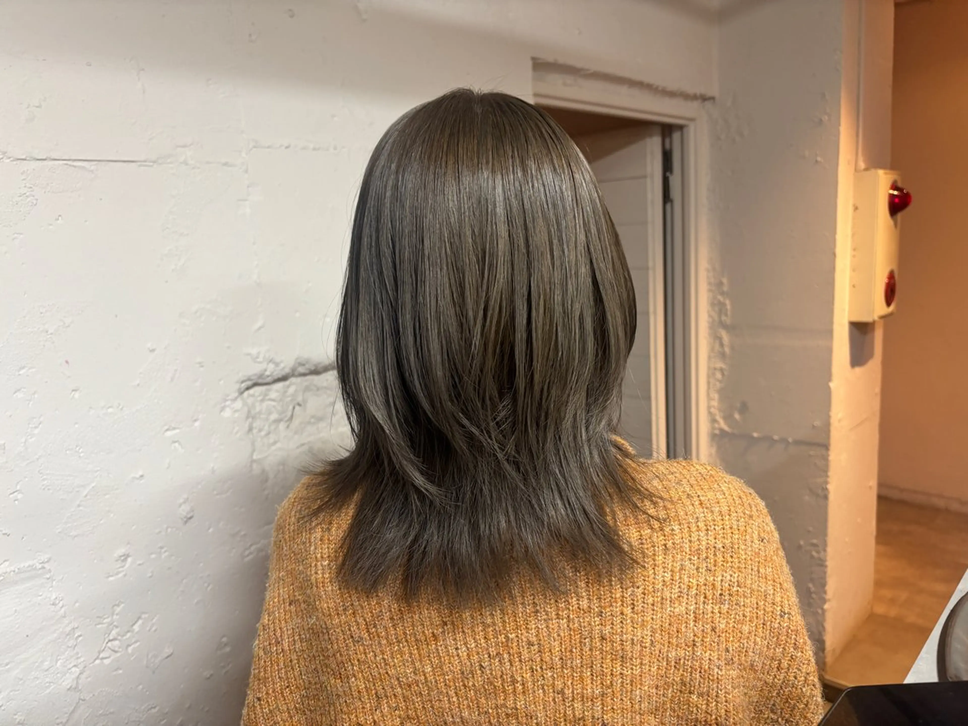 ミディアム カラー 🩵似合わせカット SEIRA🩵のヘアスタイル