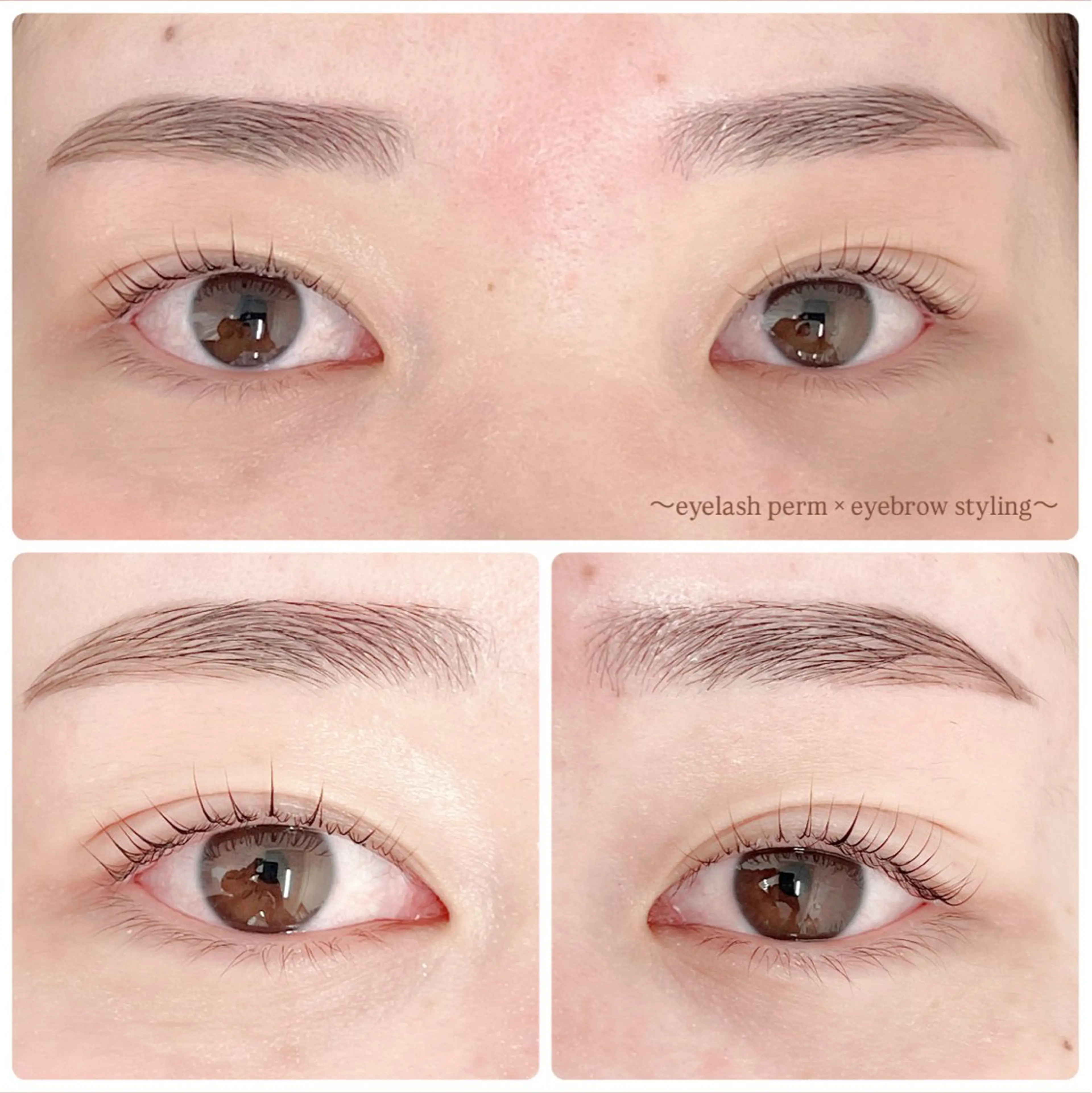 アイブロウ ワックス脱毛 眉カット その他(アイブロウ) 田村 莉子のマツエク・マツパデザイン