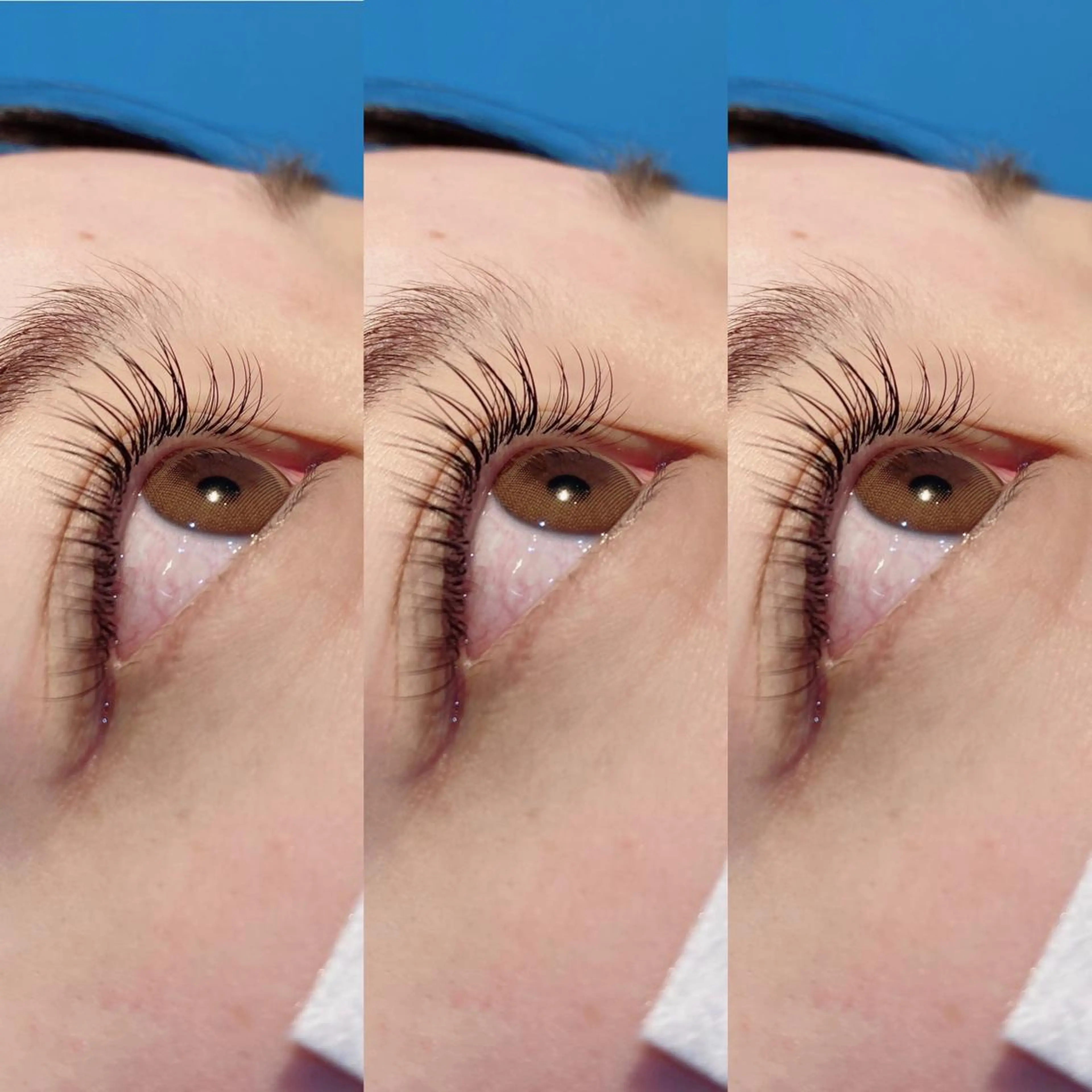 マツエク・マツパ Cカール セーブル Bianca 長津田店　長牛のマツエク・マツパデザイン