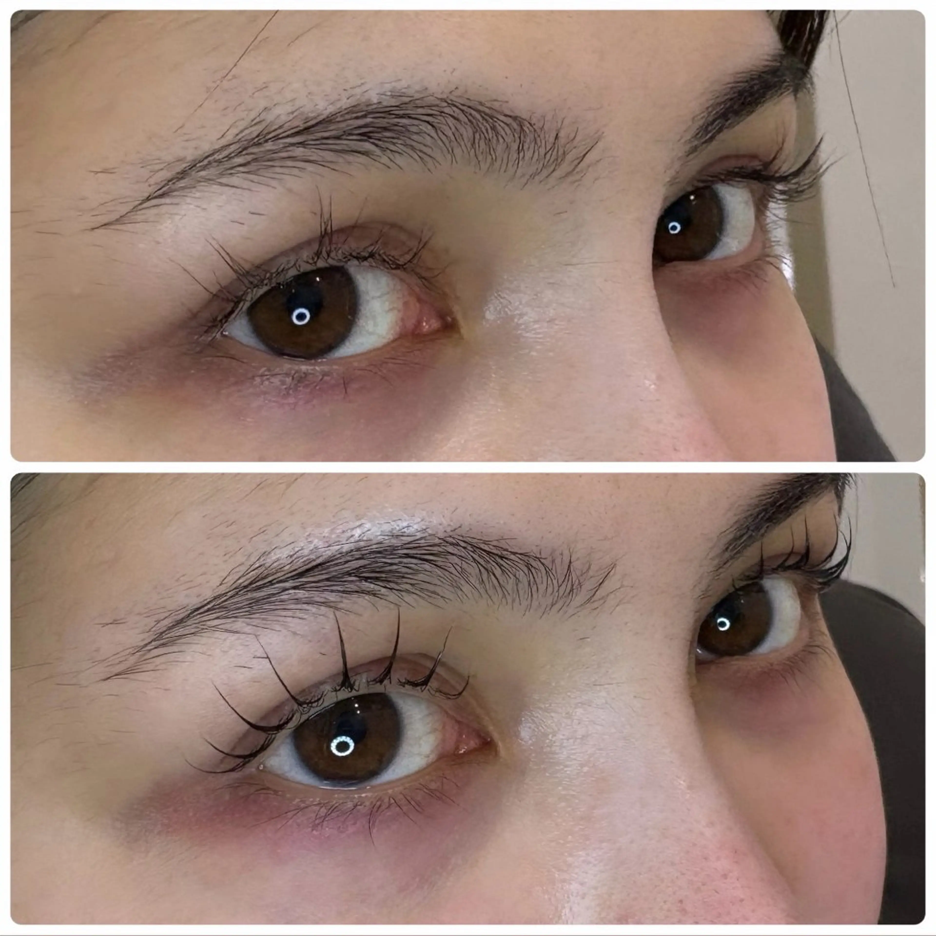 マツエク・マツパ ロレインブロウ　明石店所属・ロレインブロウ明石店 🌈🌻Kubotaのマツエク・マツパデザイン