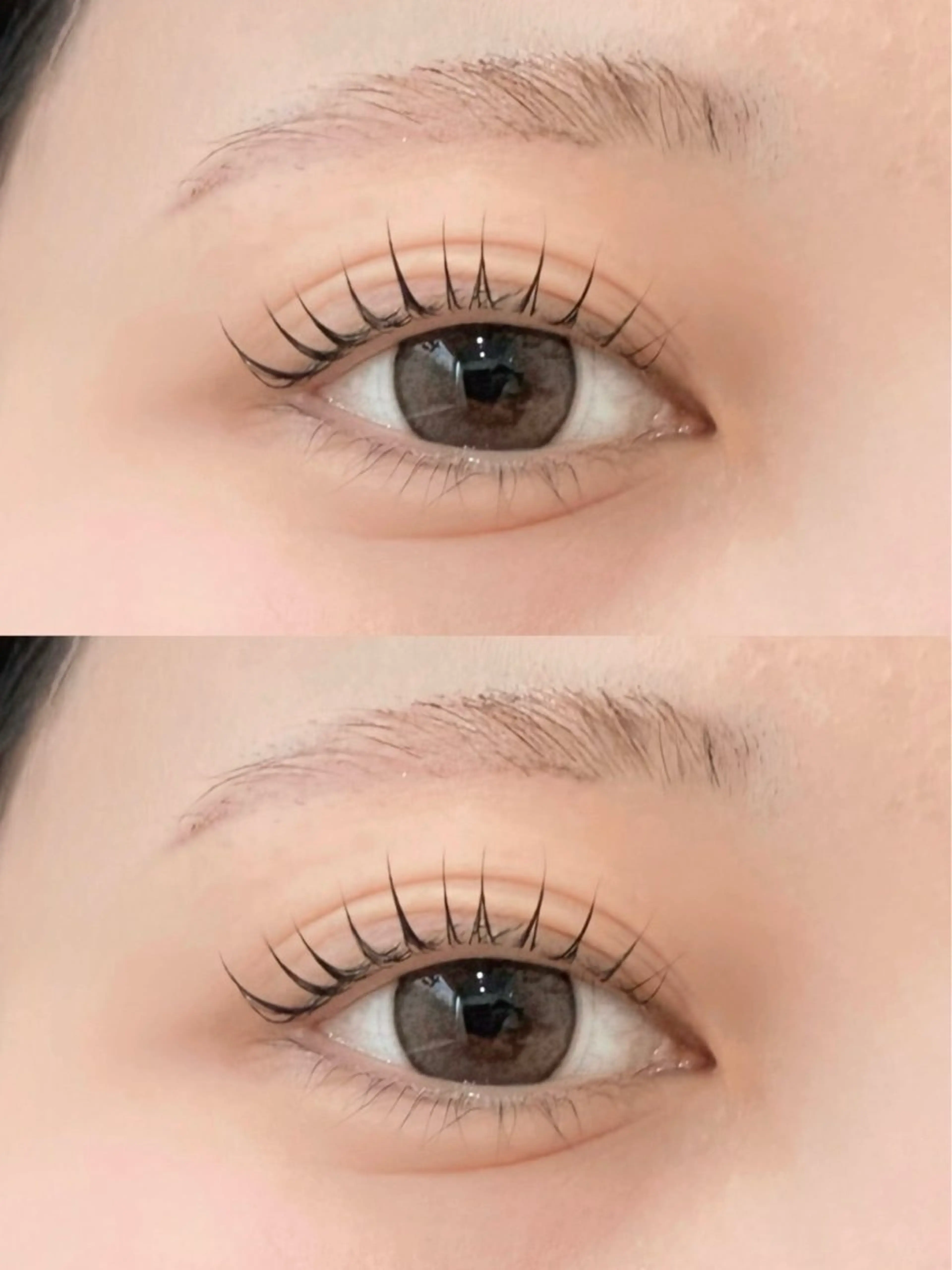 【🎅クリスマス限定価格🎄】まつ毛パーマ+美容コーティングの写真