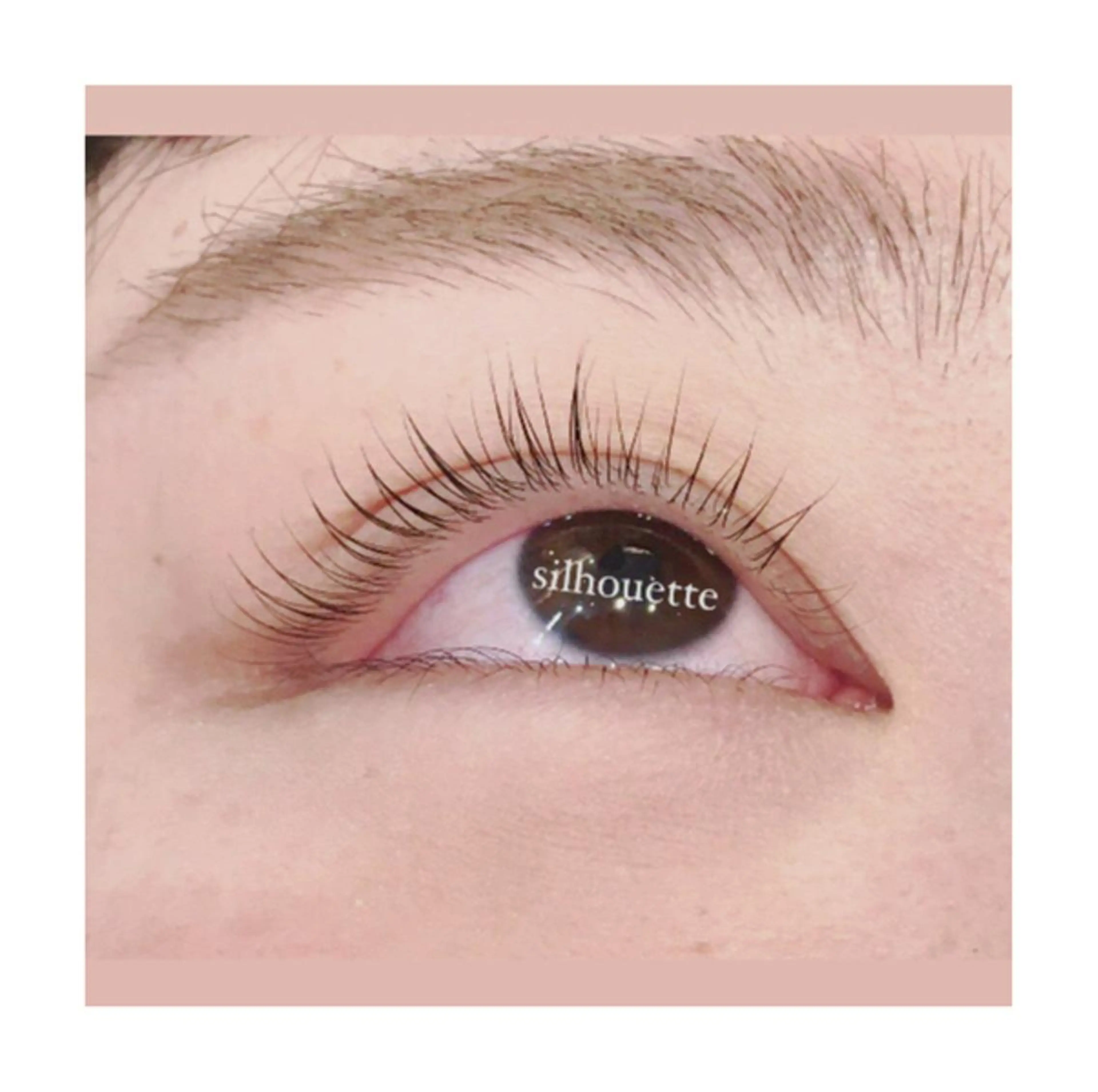 マツエク・マツパ シルエット京都桂川 練習モデル募集のマツエク・マツパデザイン