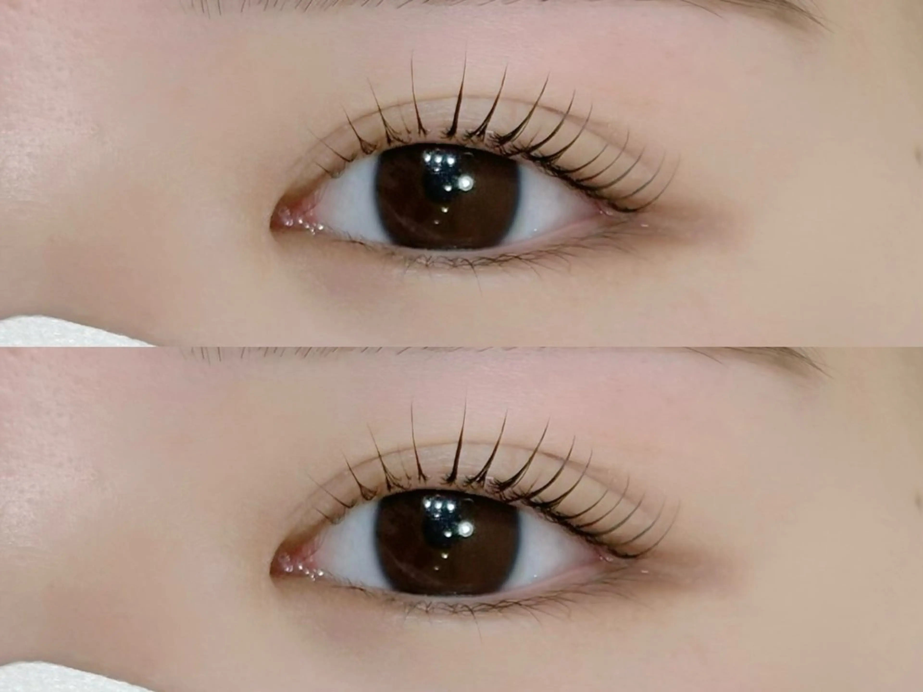 まつ毛パーマ👀【コーティング仕上げ🤍】の写真