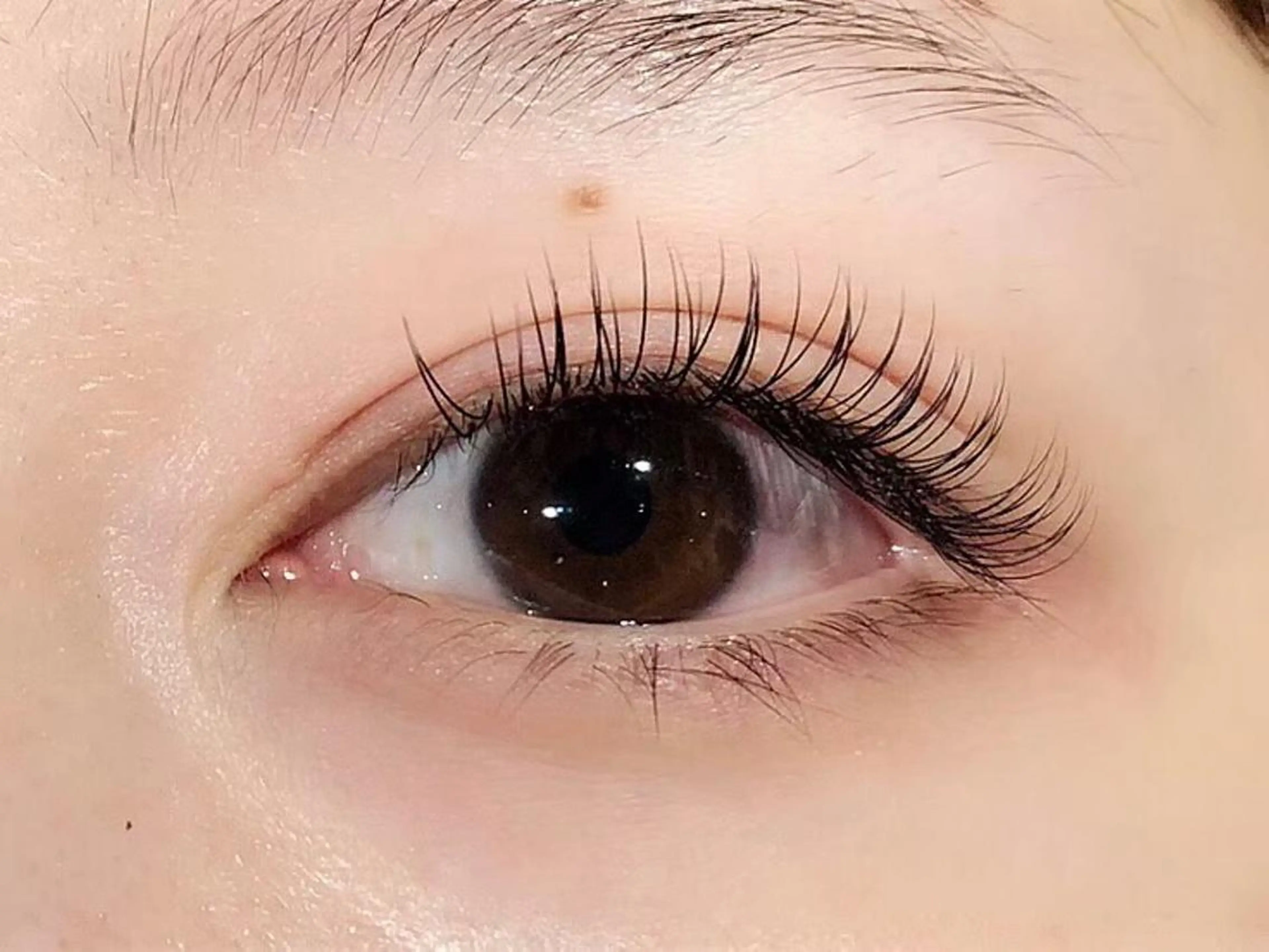 🌹140本【オフ無料】ミンク5500円/セーブル6050円/フラットラッシュ7150円🌹の写真