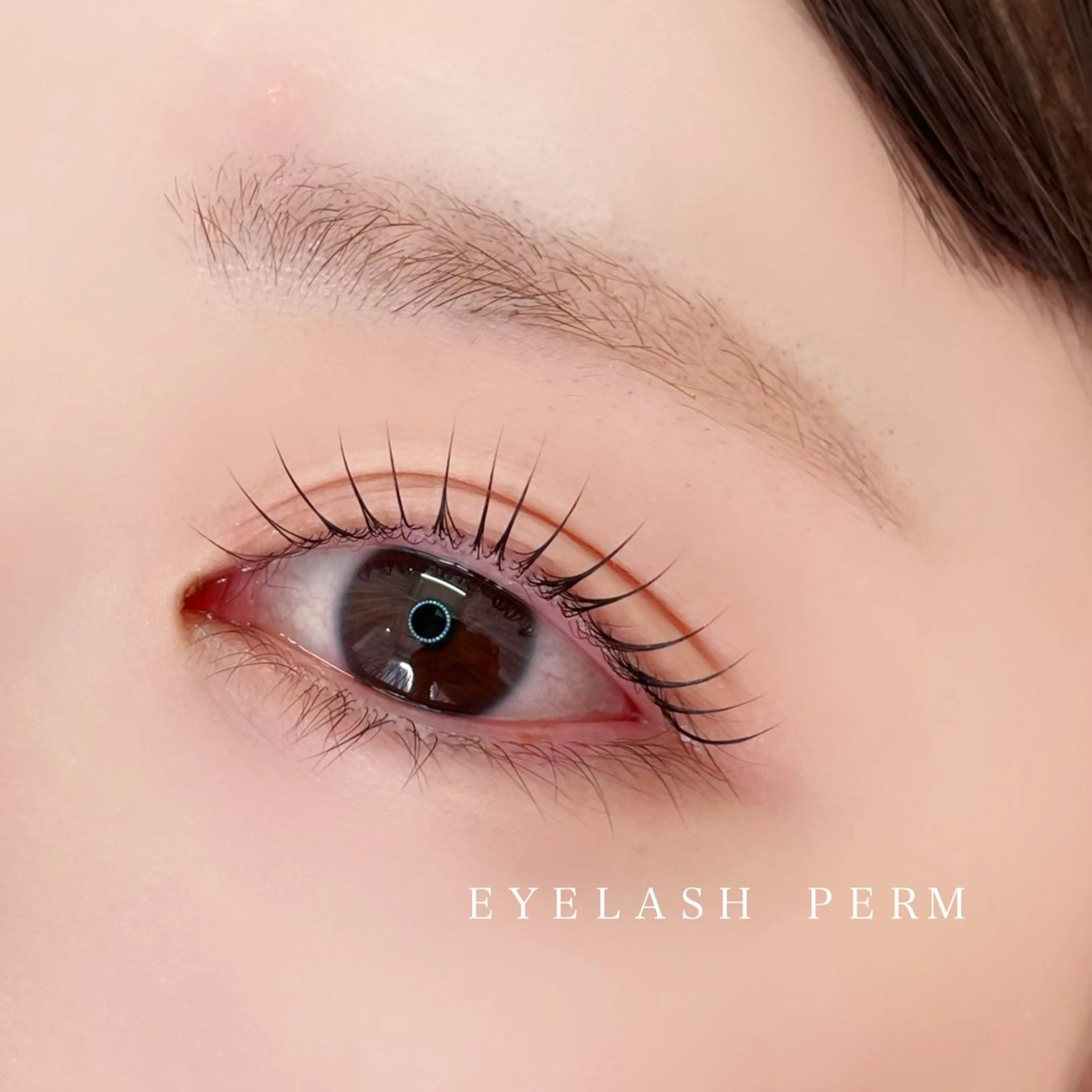 12月限定🎄❄️ミニモ限定価格　🤎《パーマ➕アイブロウwax》の写真